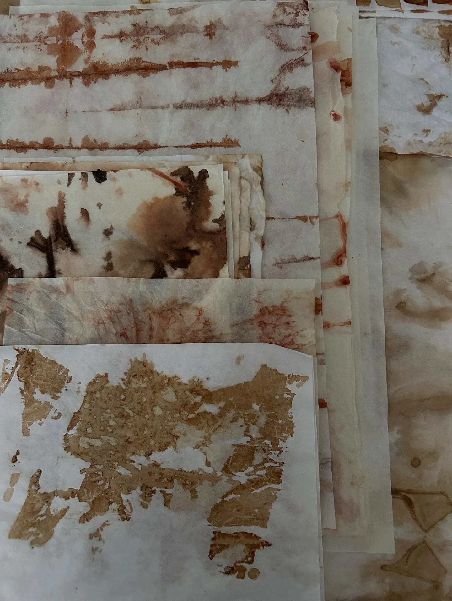 Latest play date with dye on paper. These pieces will be book covers, box covers, backgrounds, substrates for prints, and sculptural elements. 

#naturaldye #sculpturalphotography #sculpturalbooks