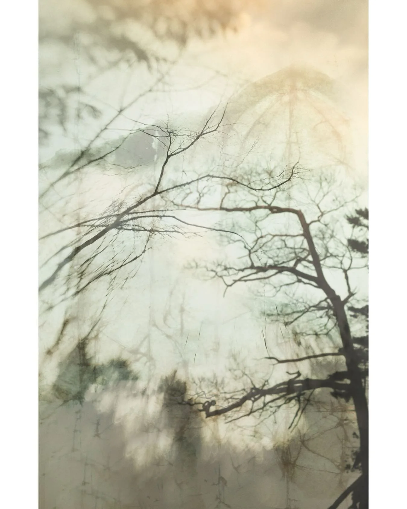 Perception

If you go outdoors and sit next to plant, and then focus on the color of the leaves, the texture of the stem, the scent of its essence&mdash; paying full attention to the smallest detail, distracted by nothing else, it is then that you b