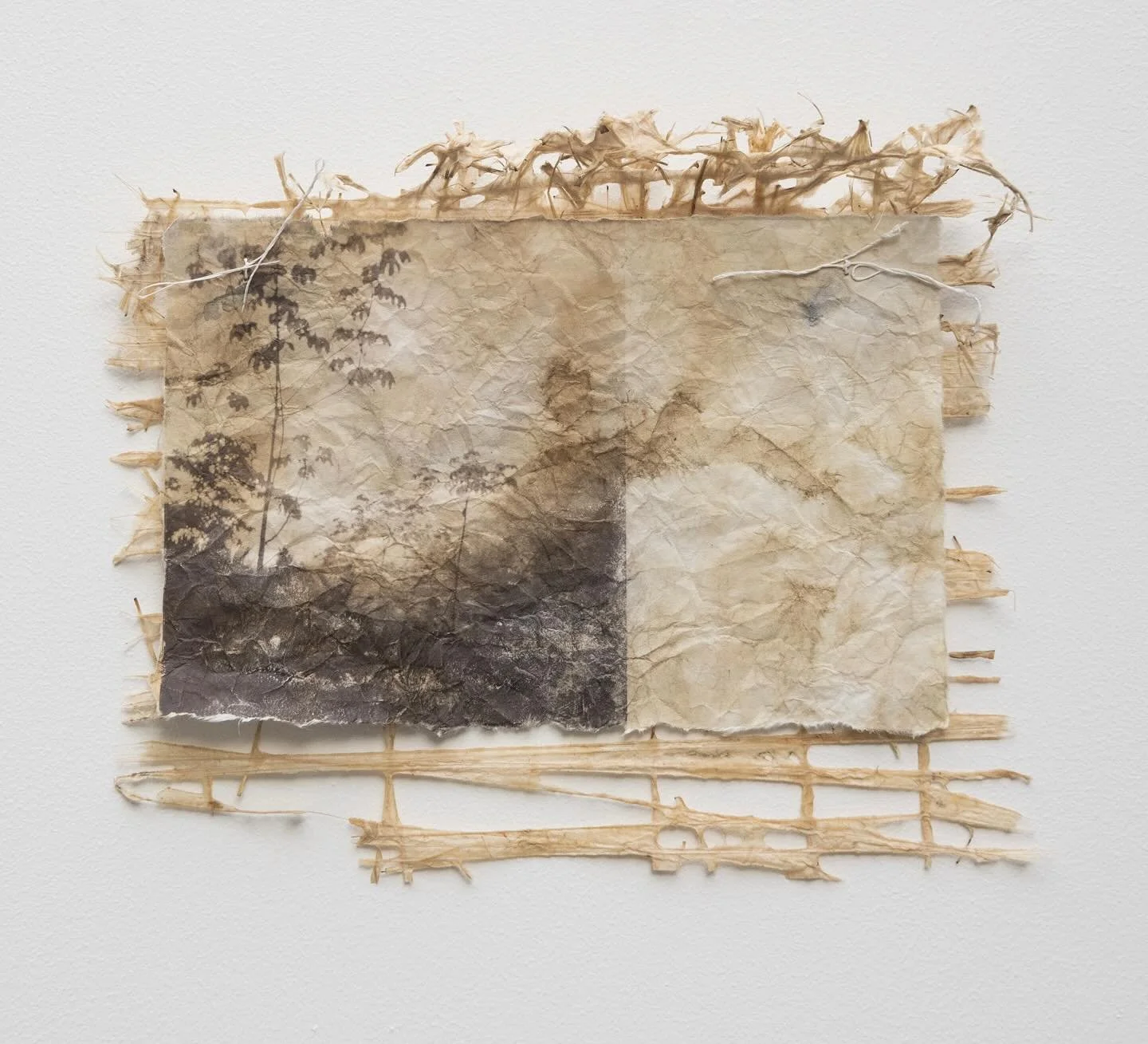 &ldquo;More Than Enough&rdquo;
Pigment print on dyed hanji, Himalayan Balsam lace paper

#papersculpture #karenolsonphotography