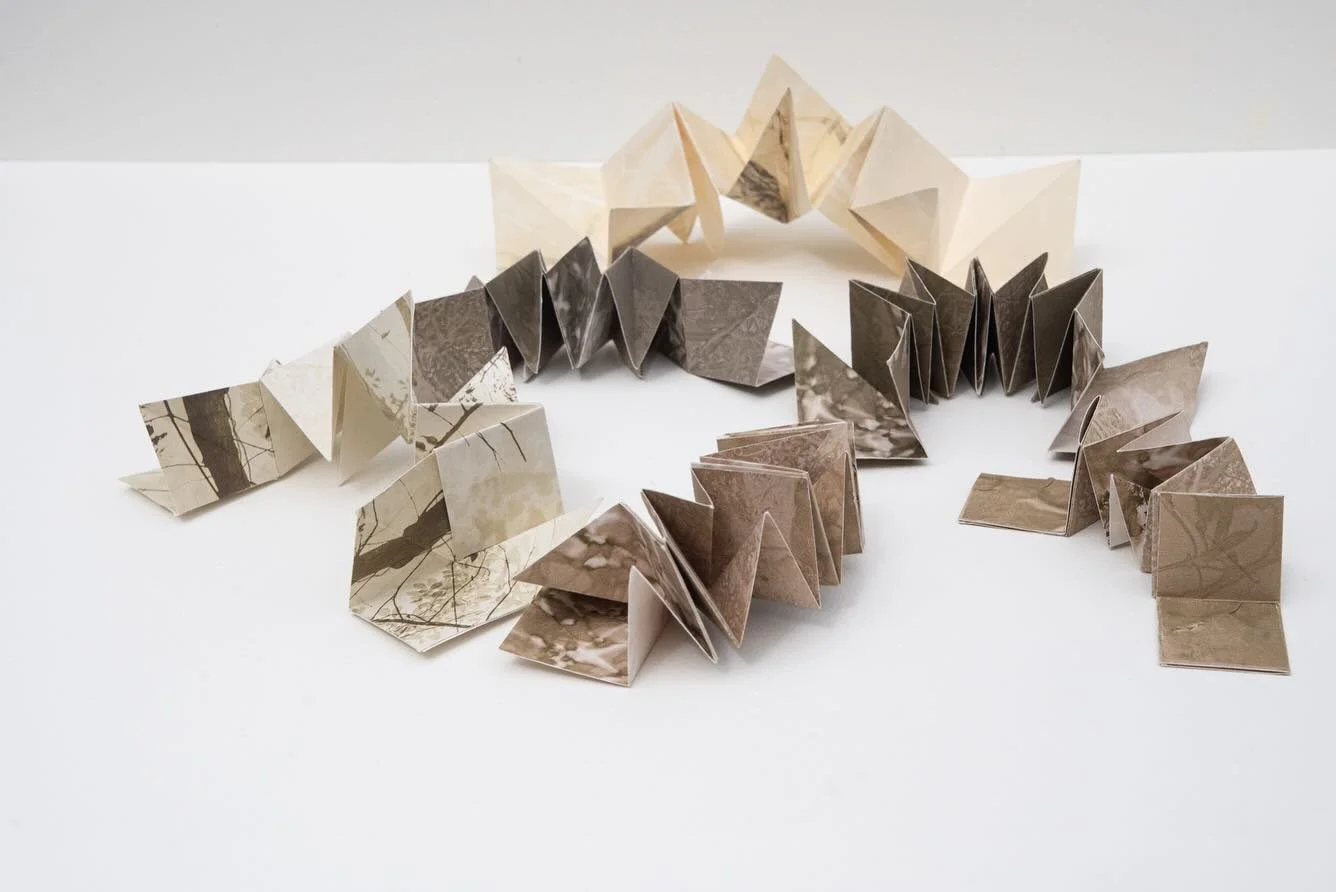 A collection of small explosion books, printed on Awagami Bamboo paper. I am really in love with this form. They are just so fun to make! Definitely want to keep experimenting with different colors and patterns. 

I added small magnets to the ends of