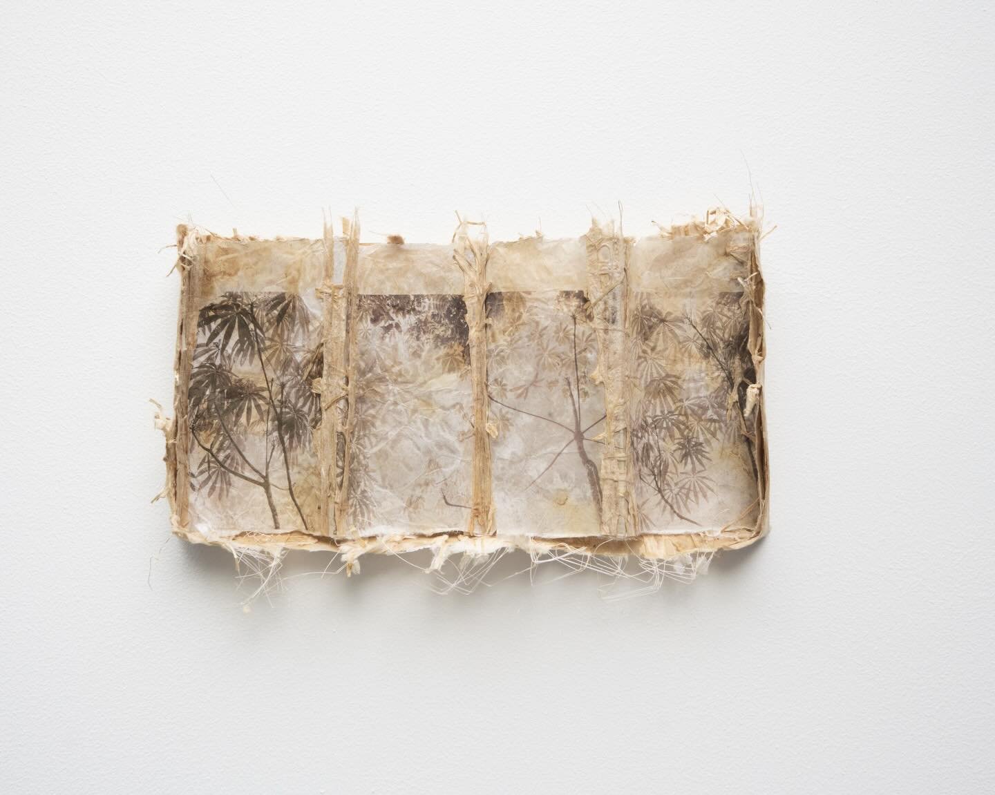 A little something I call &ldquo;Close Companions.&rdquo; 
From the Kinship series.