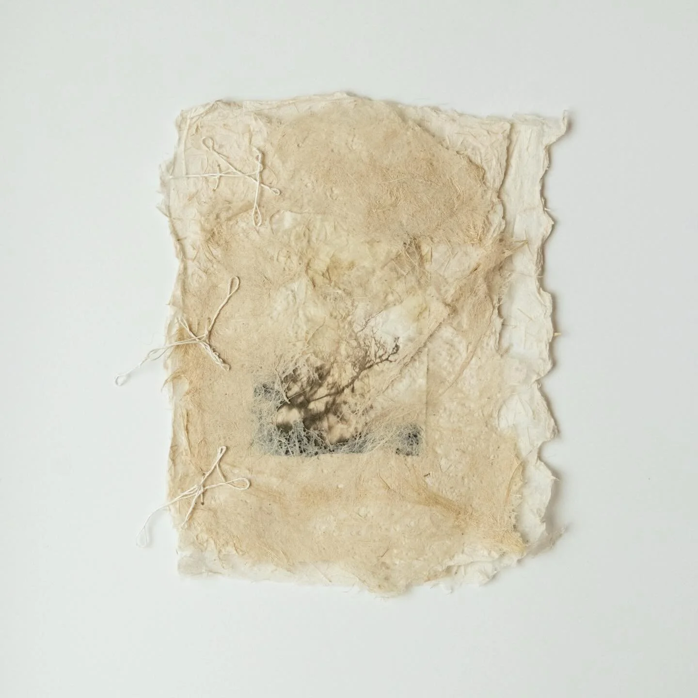&ldquo;An Opening, Not an Answer&rdquo;
Artist-made papers with cattail and Himalayan Balsam, pigment print on kozo paper, linen thread, beeswax

#papermakingwithplants #karenolsonphotography