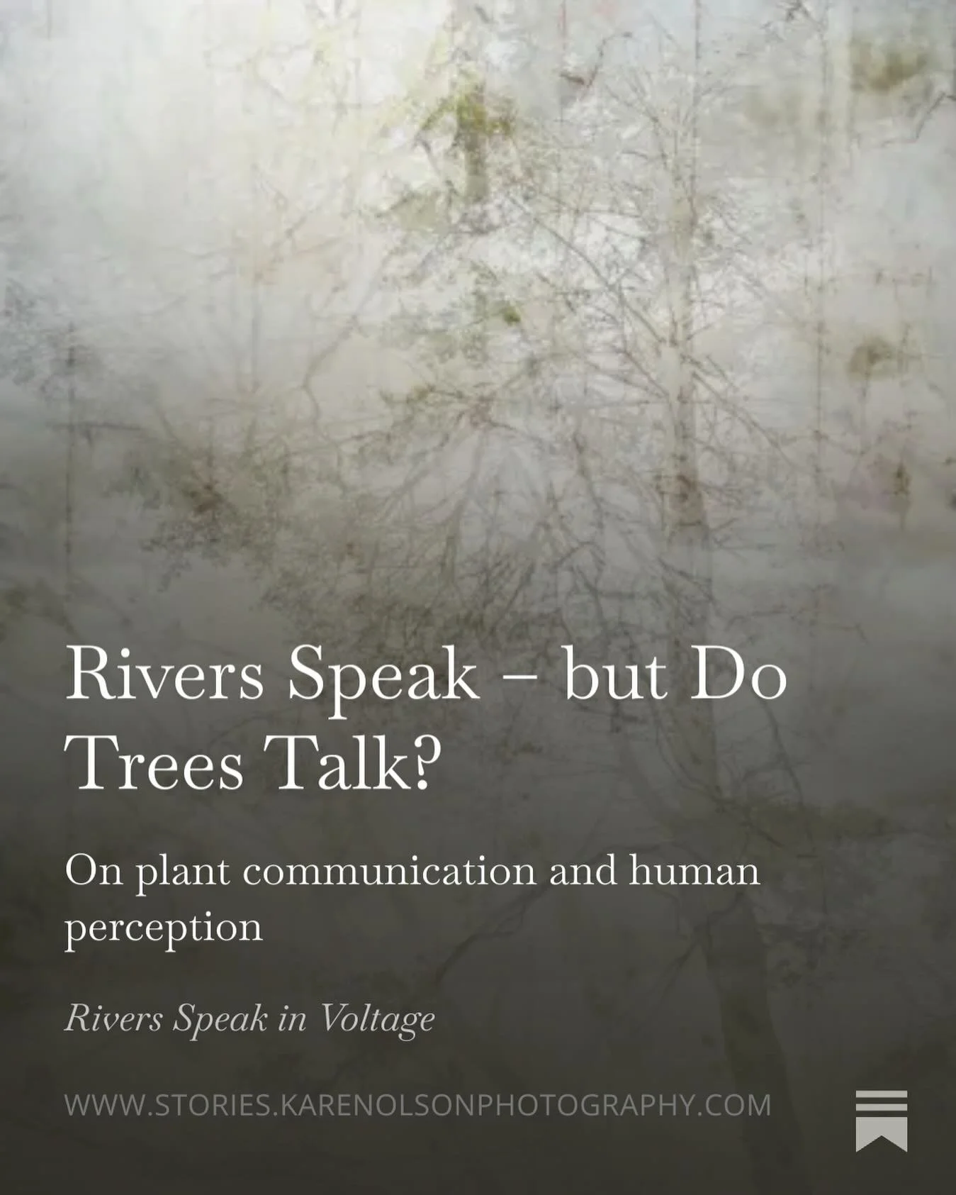 Rivers Speak&ndash;but Do Trees Talk?

The tree huggers among us want to know&mdash;do plants and trees initiate conversation? Do they respond to our inquiries? Do they offer knowledge of some kind?

Check out the post at www.stories.karenolsonphotog