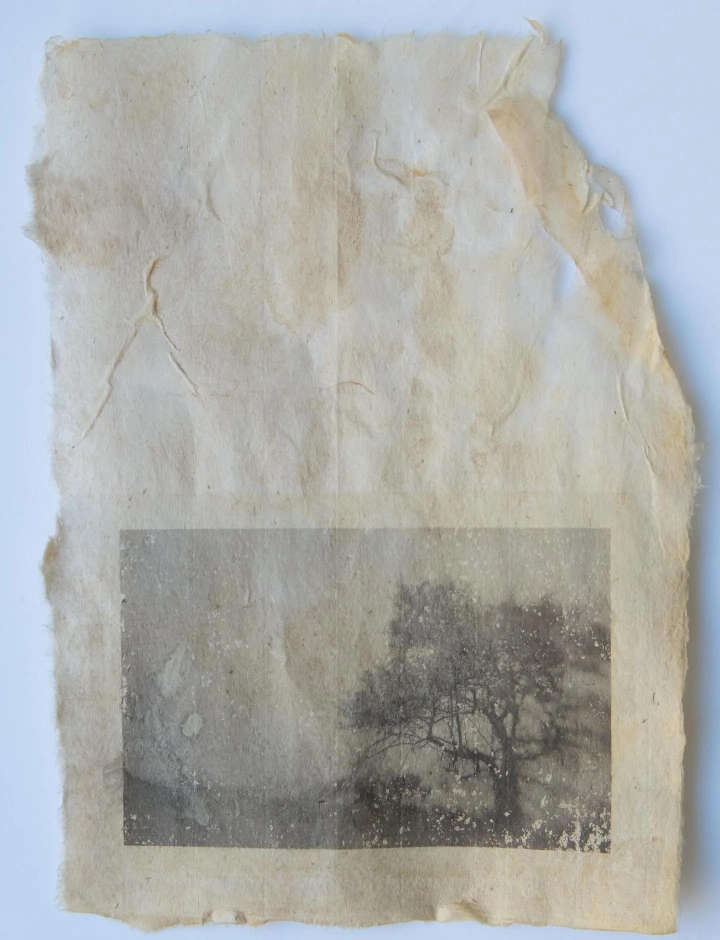 The Long Way In
Photo transfer on artist made cattail paper

#karenolsonphotography #papermaking 
@inkaid1