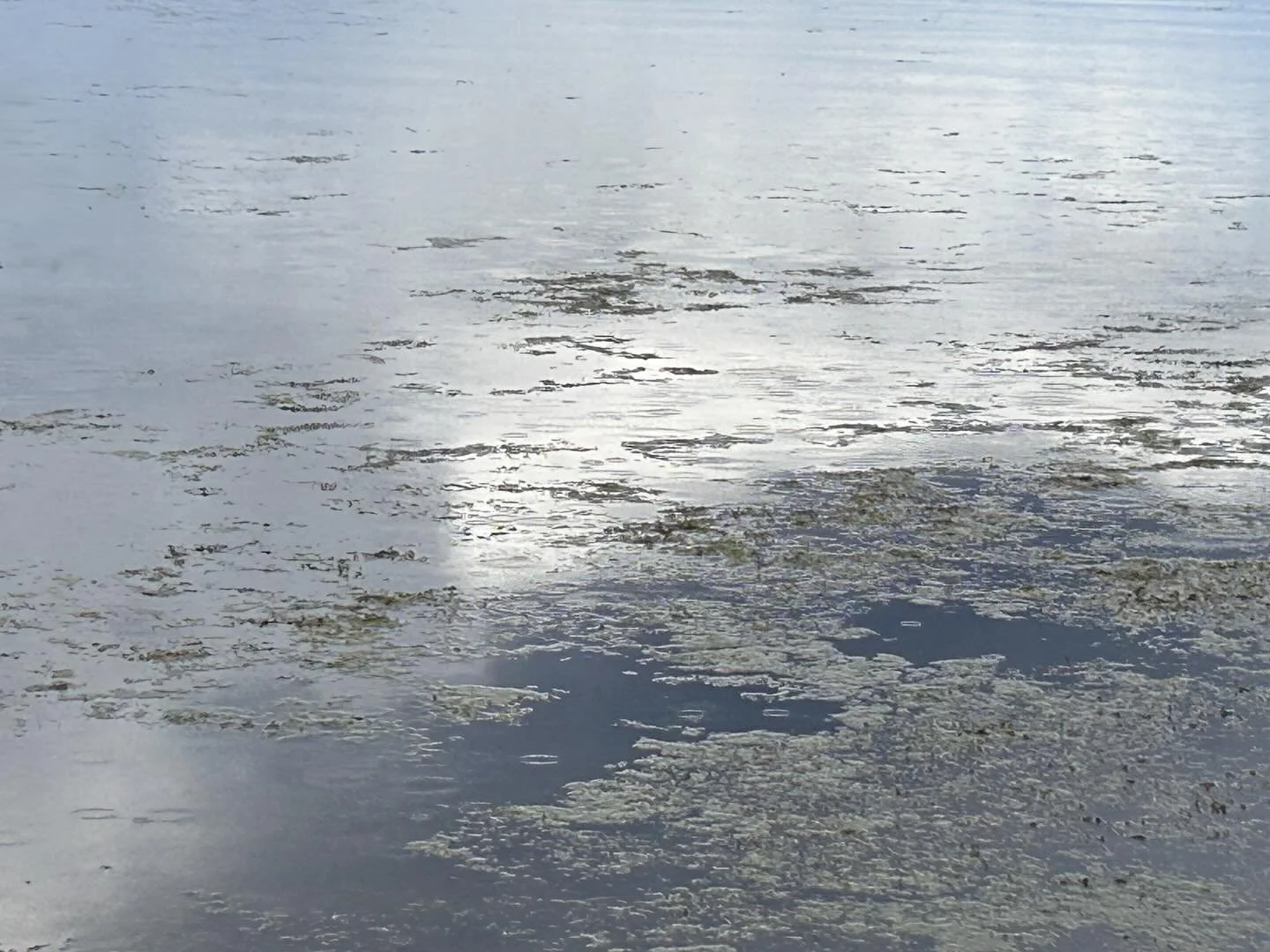 &ldquo;Will you choose to see the beauty? What will you make of it?&rdquo;
Chelsea Putnam