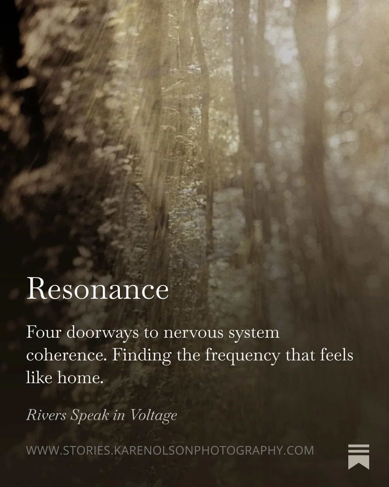 A resonance emerges instantly from the wild world. It is a homecoming&mdash;an exchange buried deep in our cells. We recognize it at once, as we know and are known.

New Substack post is live!
https://www.stories.karenolsonphotography.com/p/resonance