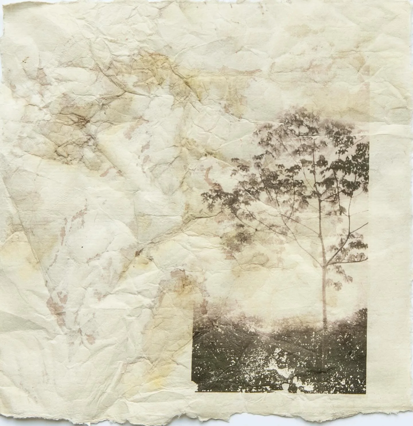 Between Touch and Time 
Photo transfer on artist dyed kitikata paper.