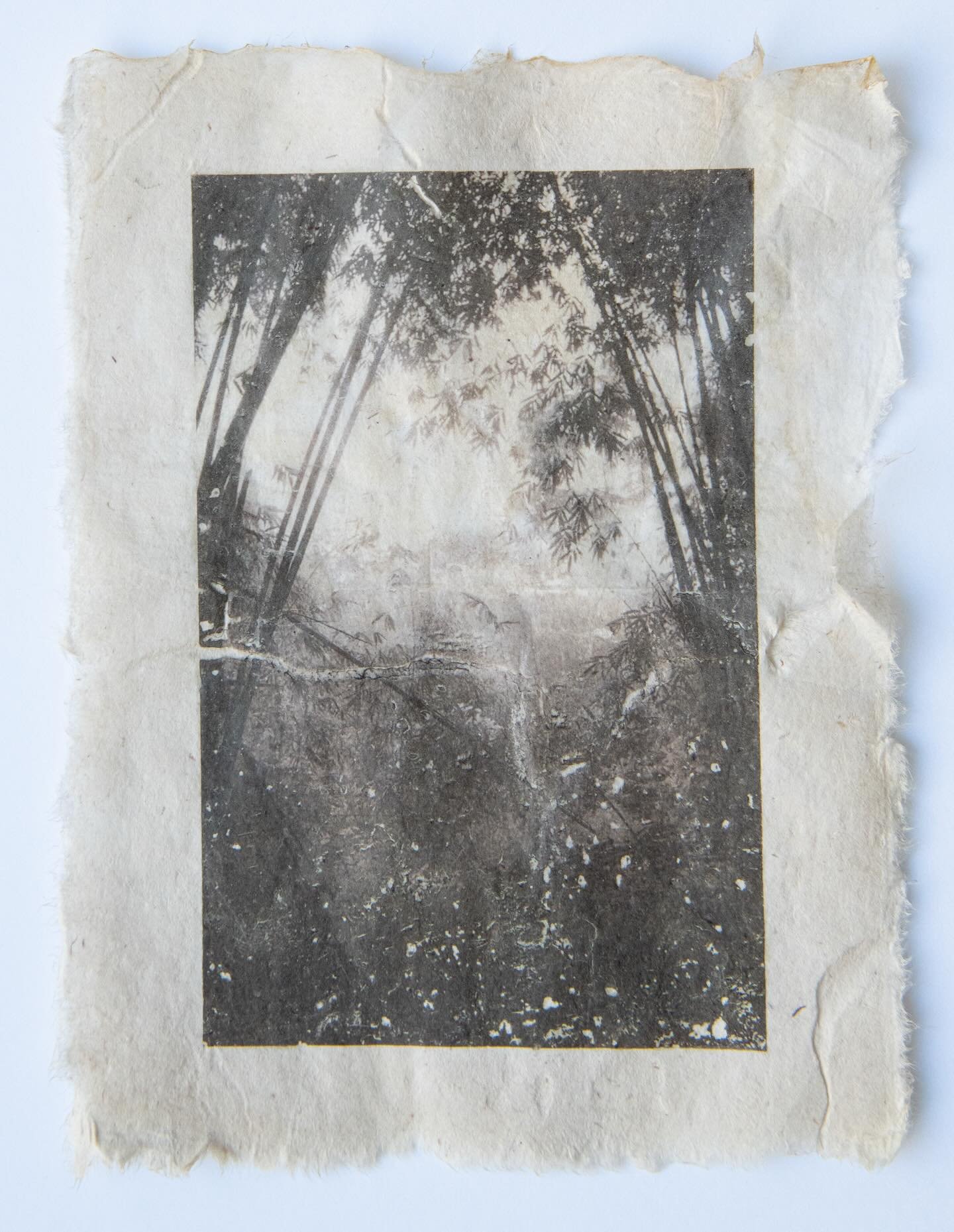 Listening Path

Photo transfer on artist made cattail paper