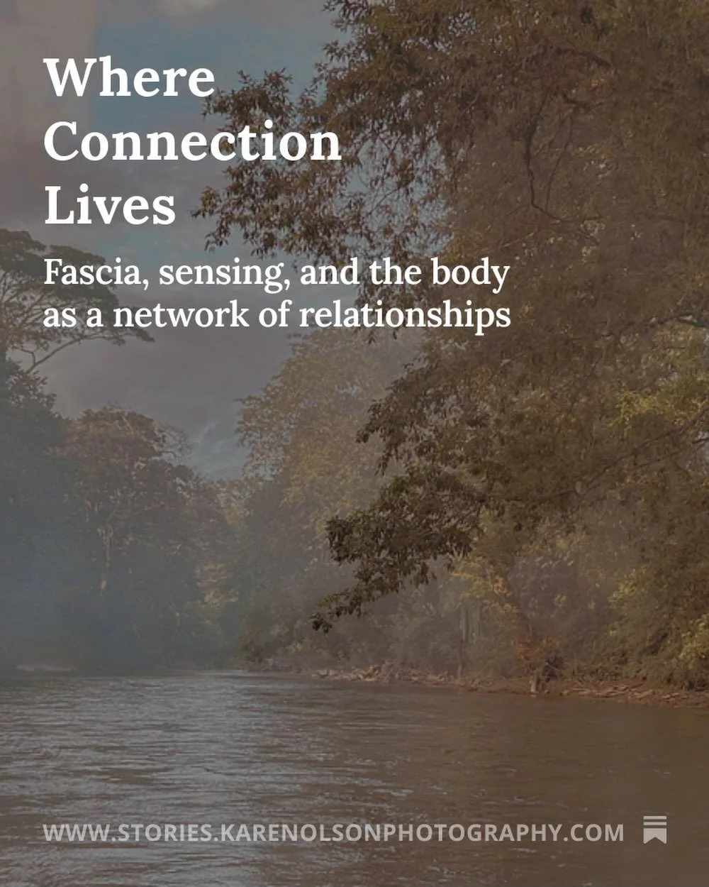 New Substack article available. &ldquo;Where Connection Lives &ndash; Fascia, sensing, and the body as a network of relationships.

Is fascia involved in how we perceive our place in the world? Does it play a role in our felt sense of safety, connect