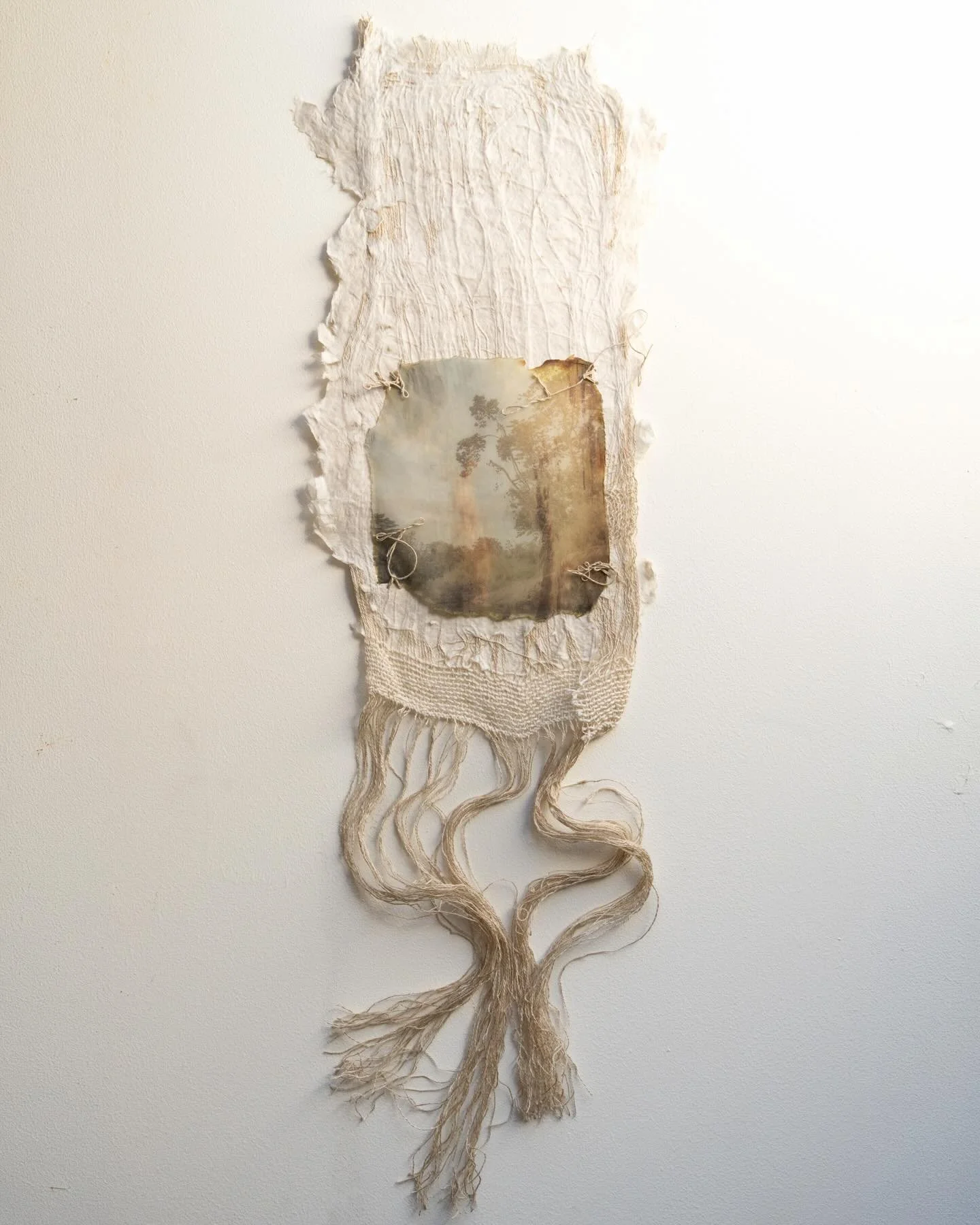Integration

Artist made abaca paper with Himalayan Balsam Lace paper inclusion, pigment print on kozo paper, bees wax, linen thread

#coherenceseries #karenolsonphotography