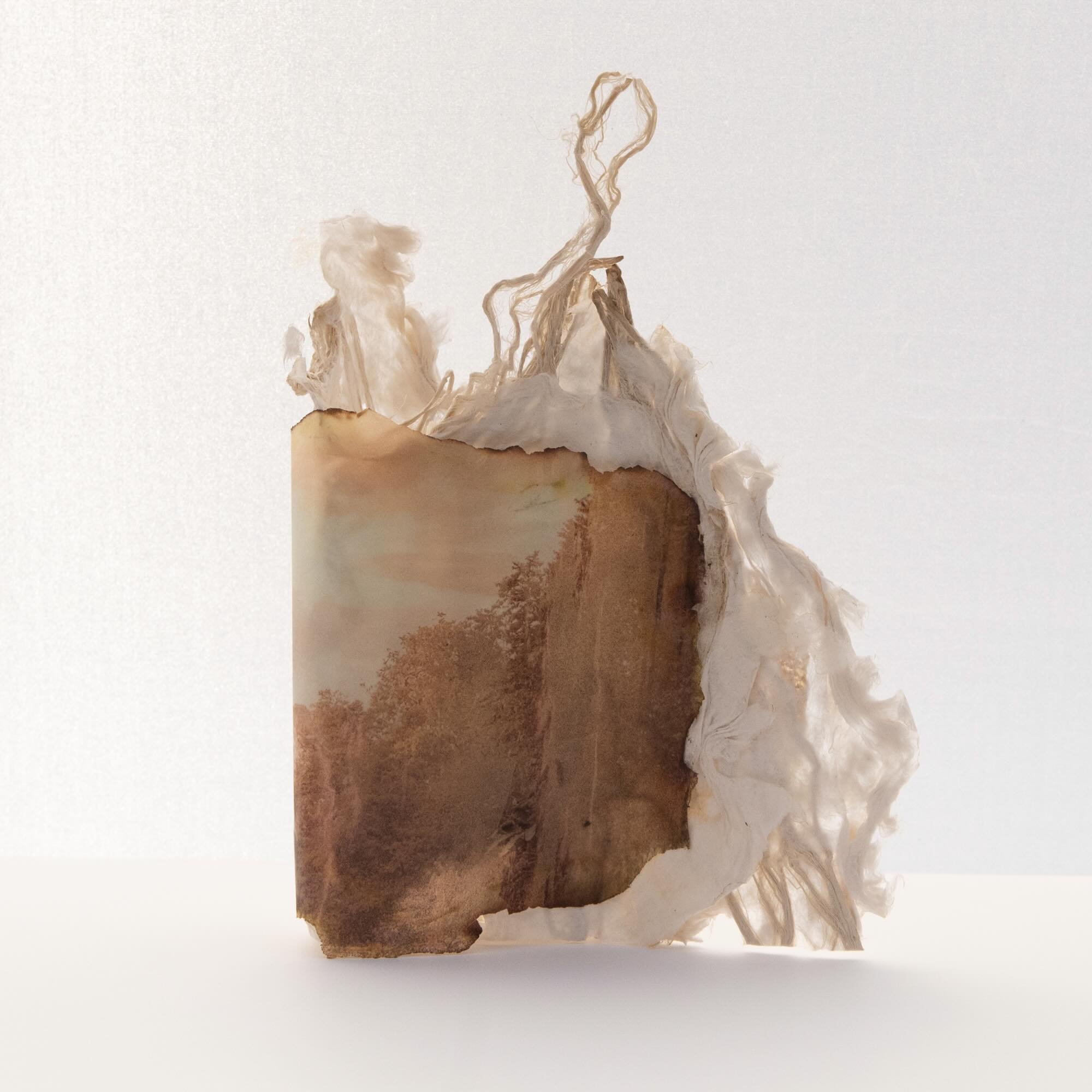 Quiet Consolidation

Artist made abaca paper with gampi inclusions, pigment print on Kozo paper, beeswax, fire

#coherenceseries #karenolsonphotography