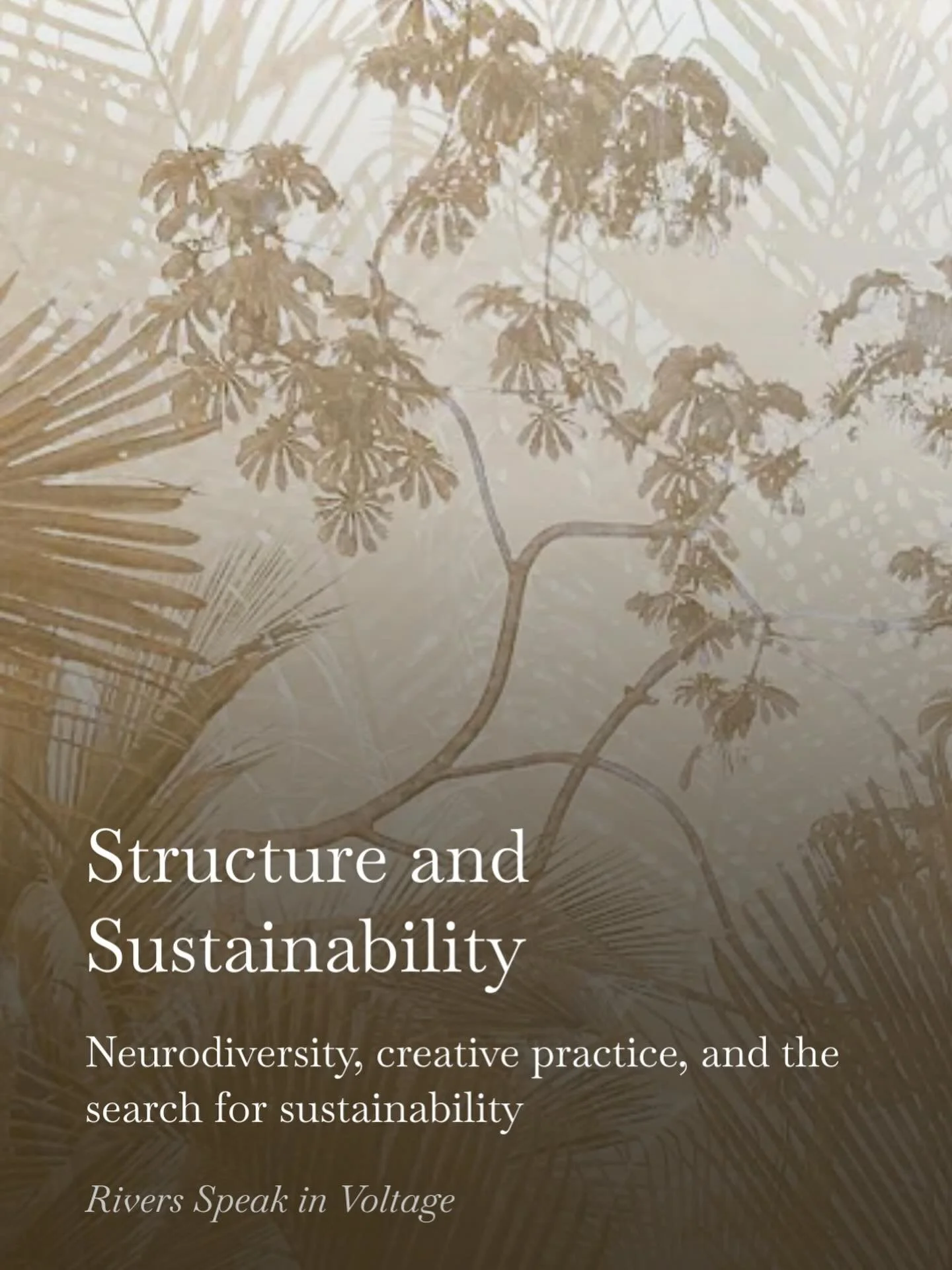 New Substack post up. 
Structure and Sustainability - Neurodiversity, creative practice, and the search for sustainability

#creativeprocess #neurodiversity  www.stories.karenolsonphotography.com