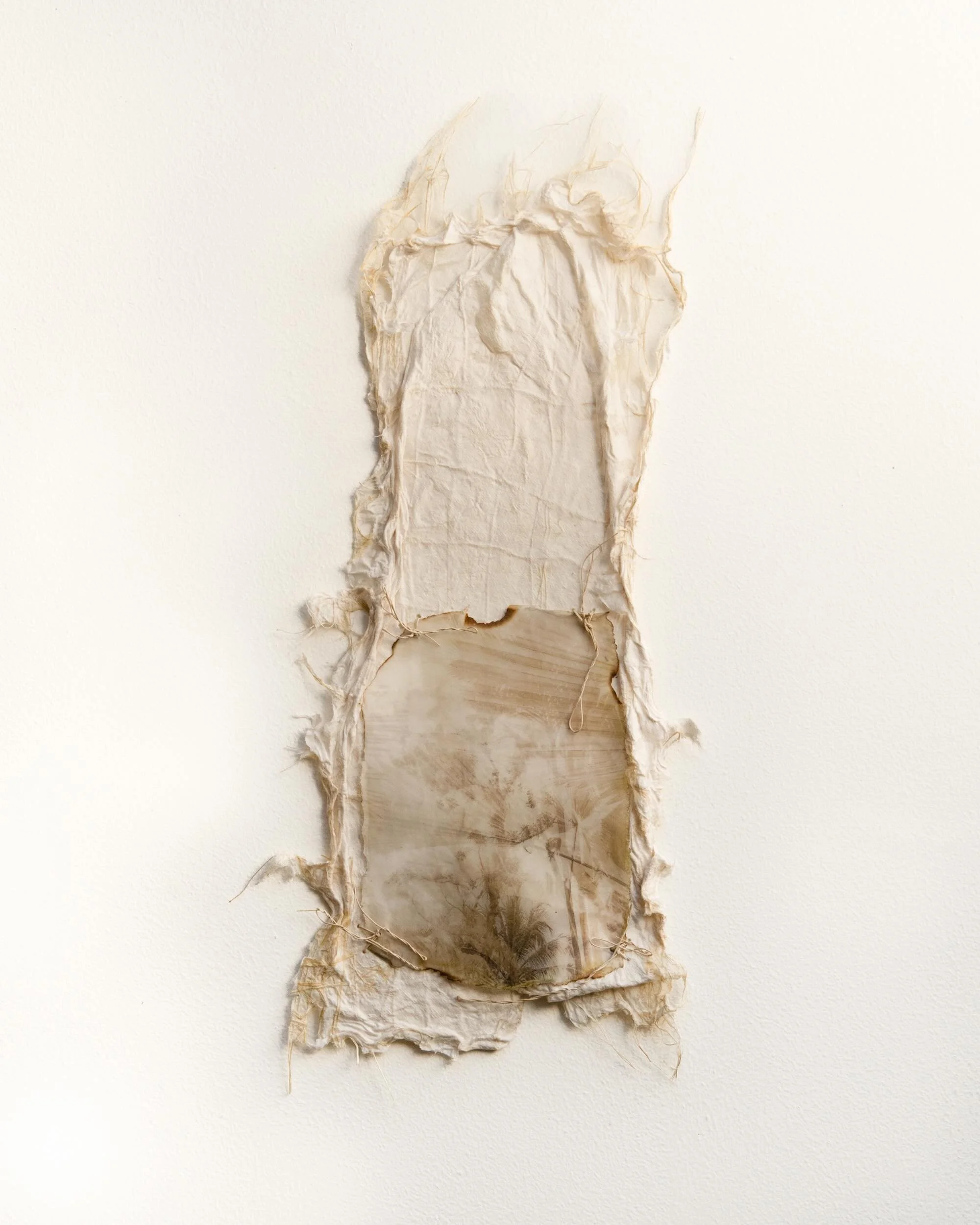 Gesture of Reaching
Wall sculpture_ Artist made abaca paper with Himalayan Balsam Lace paper inclusion, pigment print on kozo paper, bees wax, linen thread

#coherenceseries #karenolsonphotography #papersculpture #photoasobject