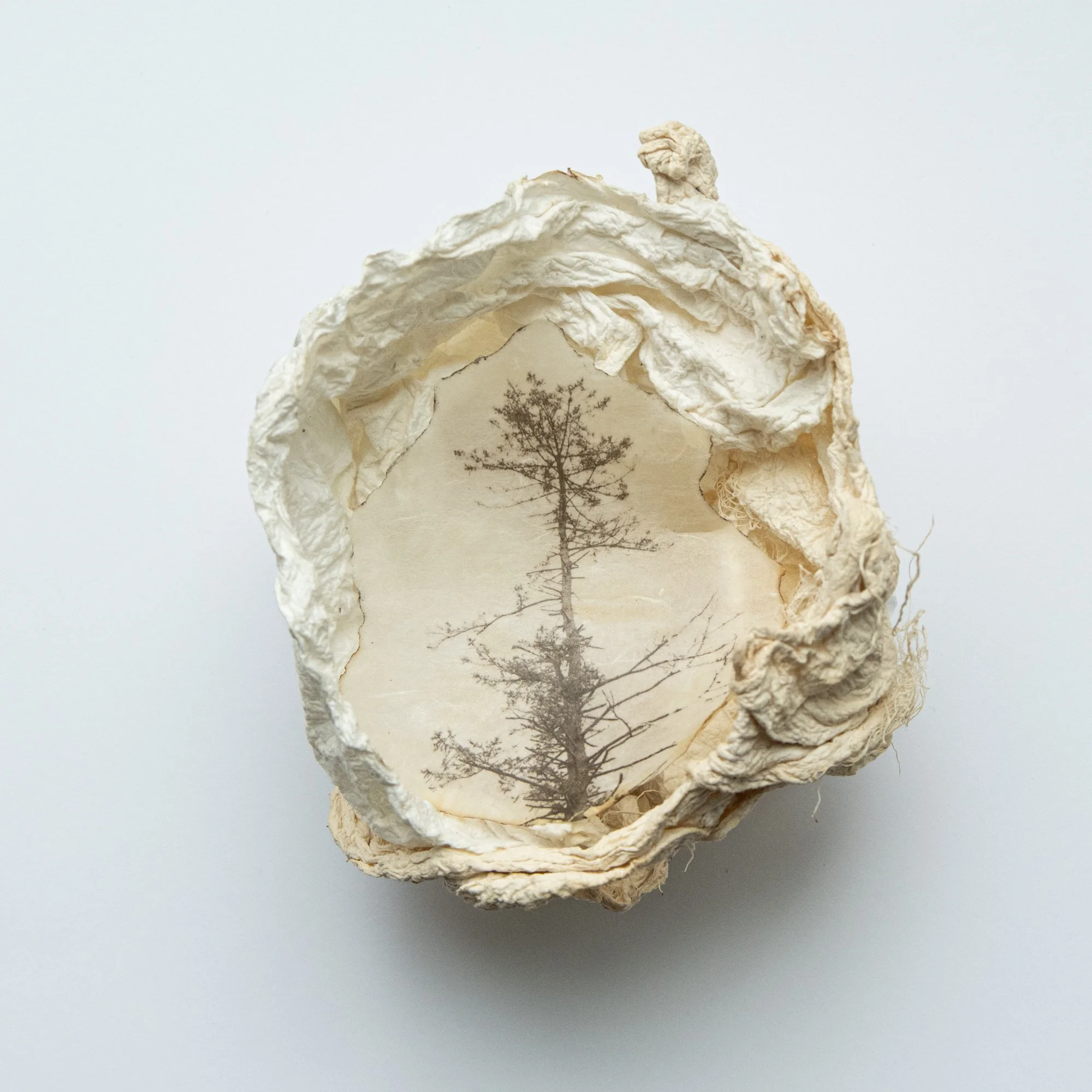 Remembering Oneself_Karen Olson.jpg