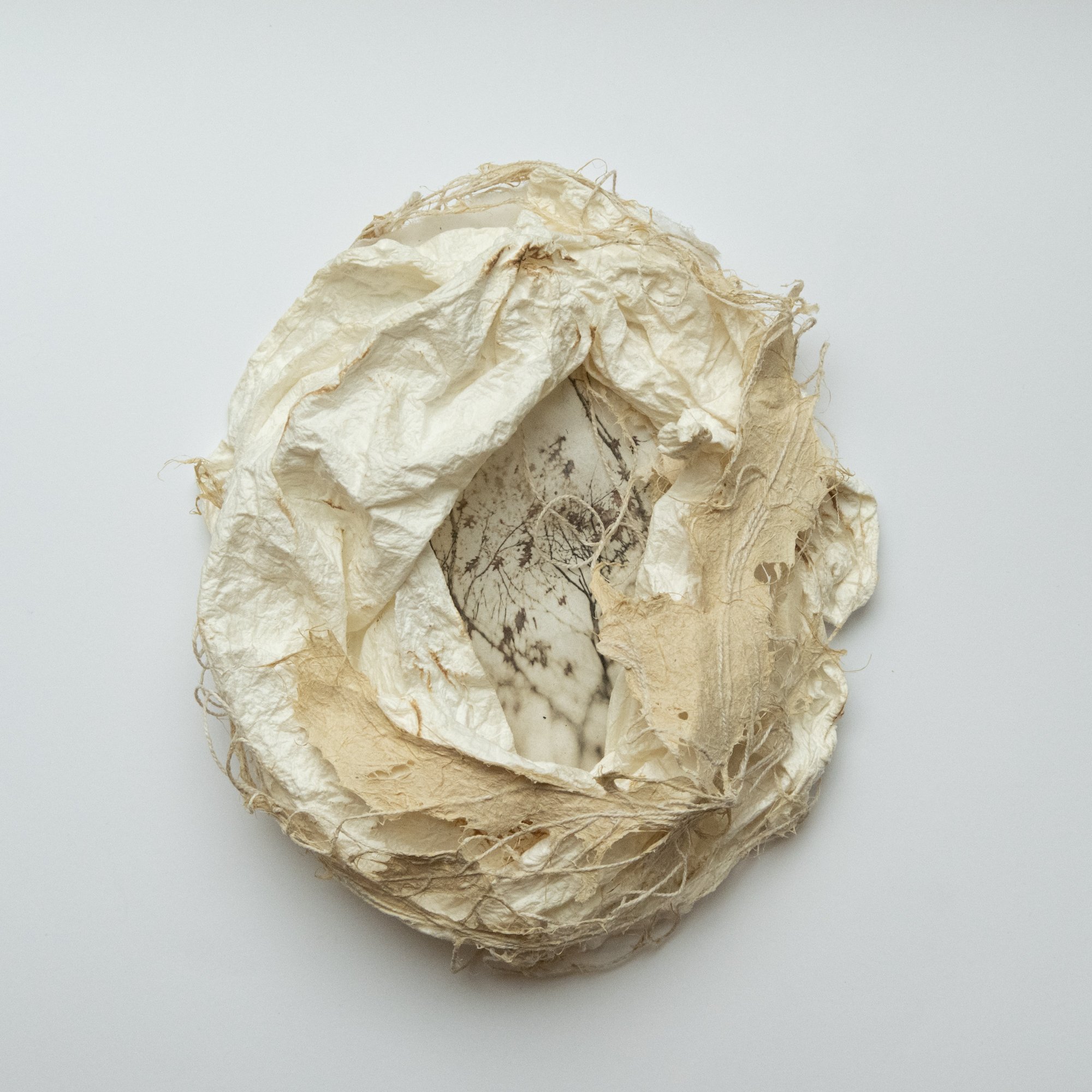 Threshold Studies_2_Karen Olson.jpg