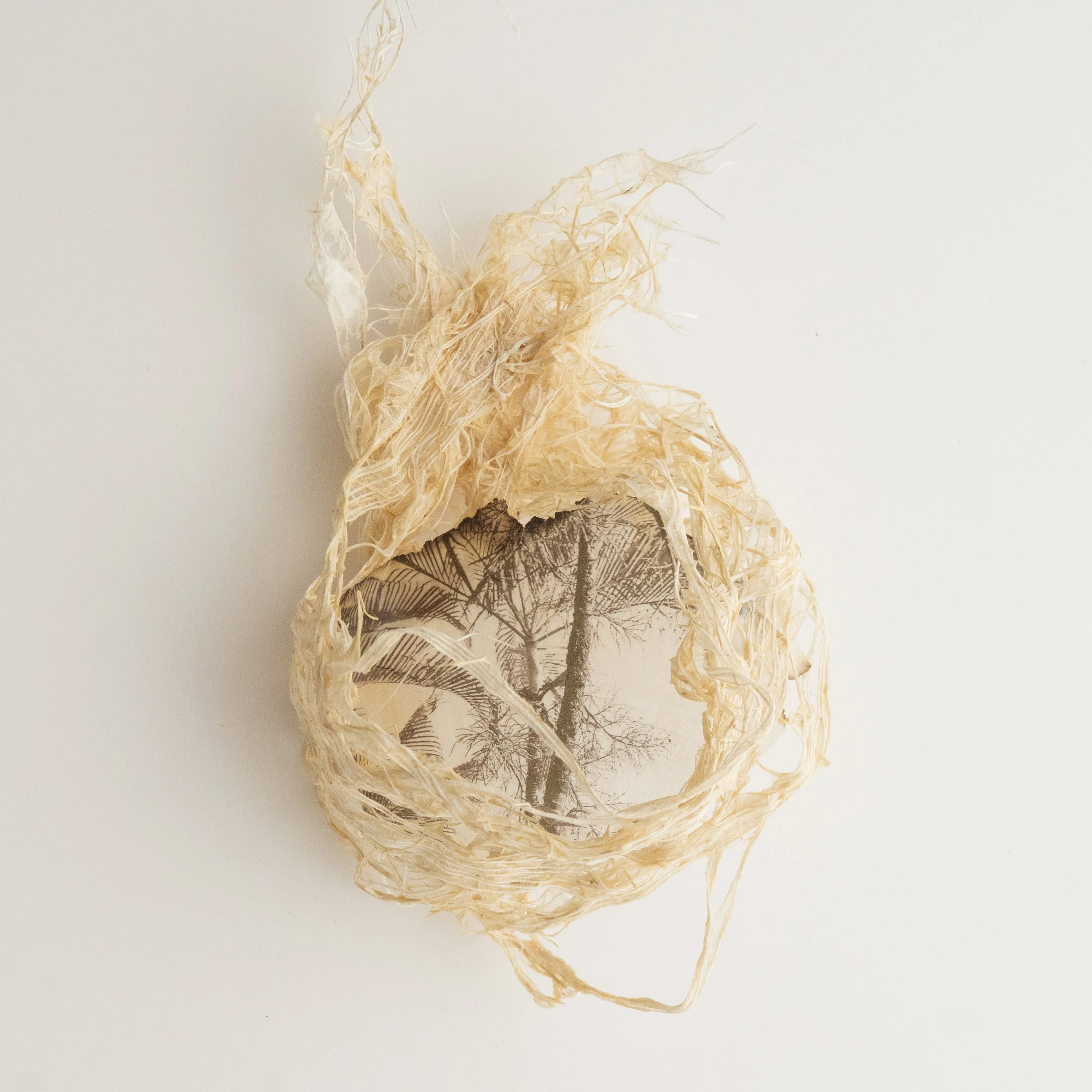 Inner Compass_Karen Olson.jpg