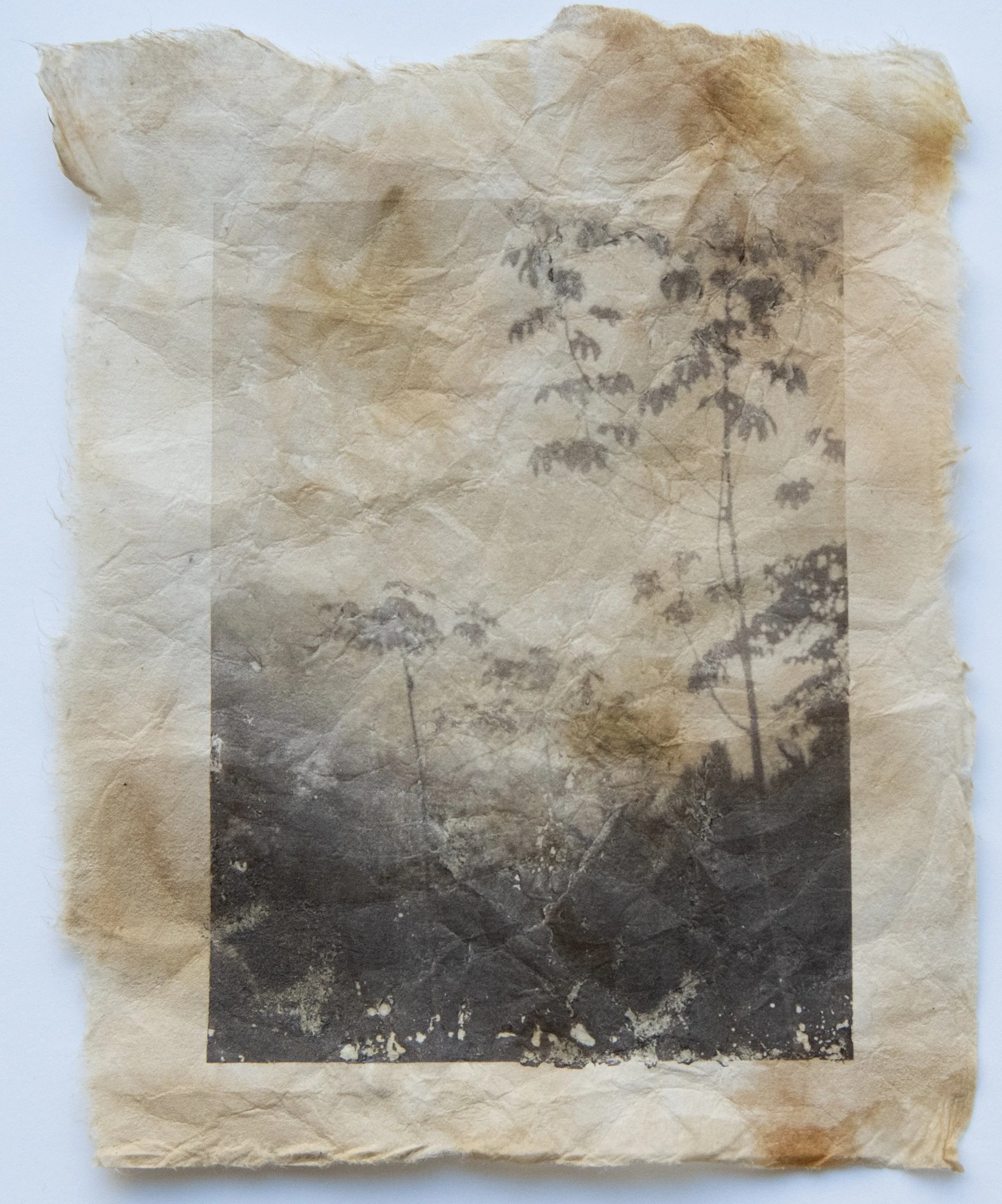 Being Seen_Karen Olson.jpg