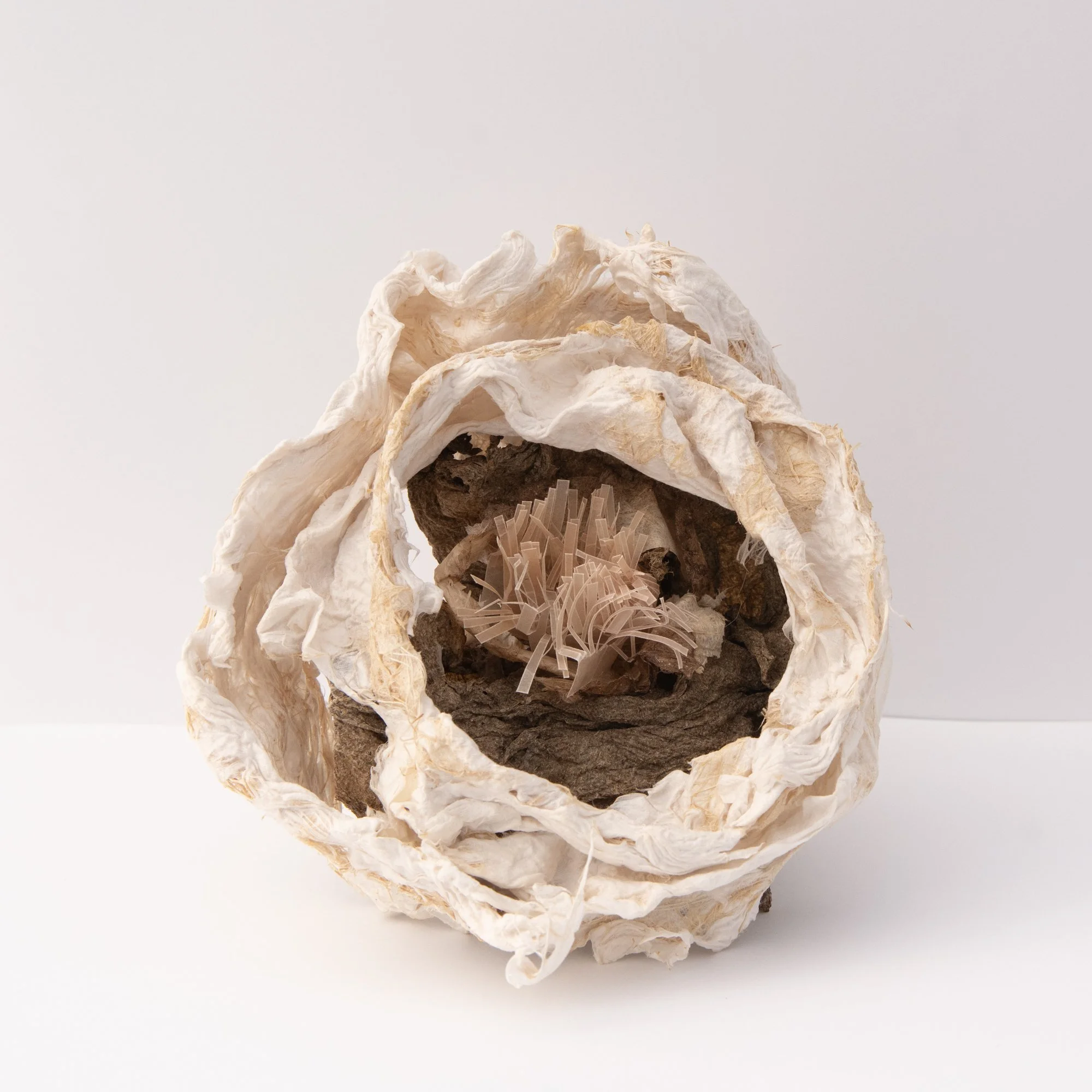 Print no. 1