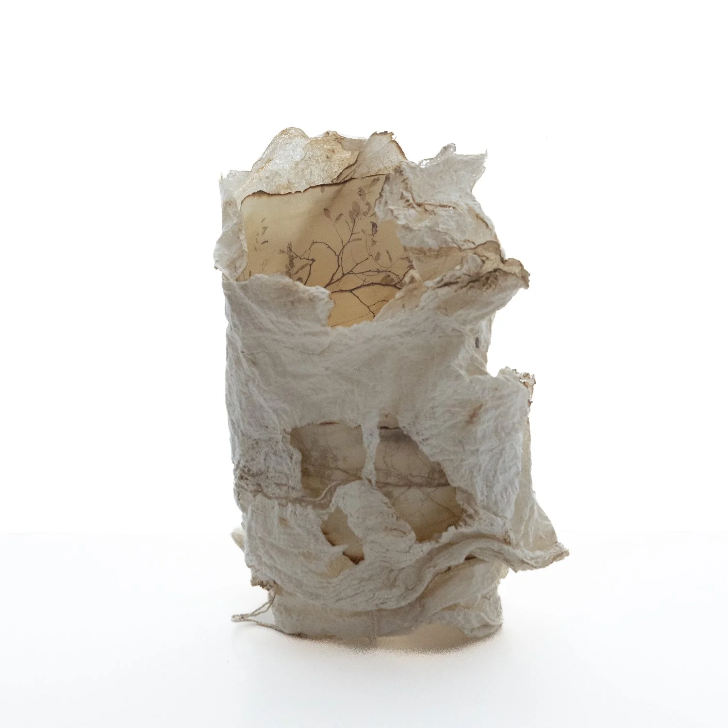 Wandering Awareness_Karen Olson.jpg