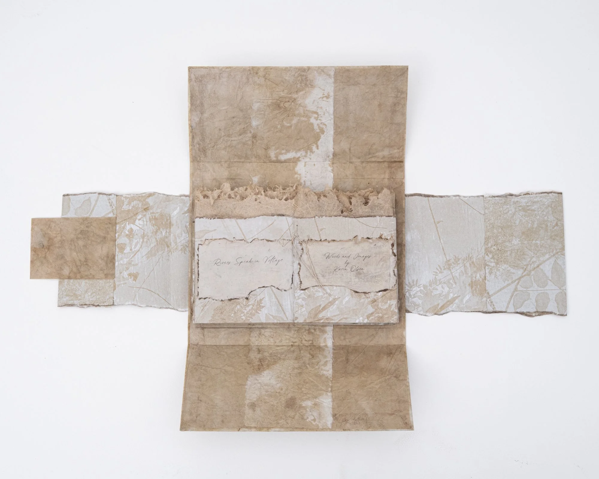 Rivers Speak in Voltage_Karen Olson-2.jpg