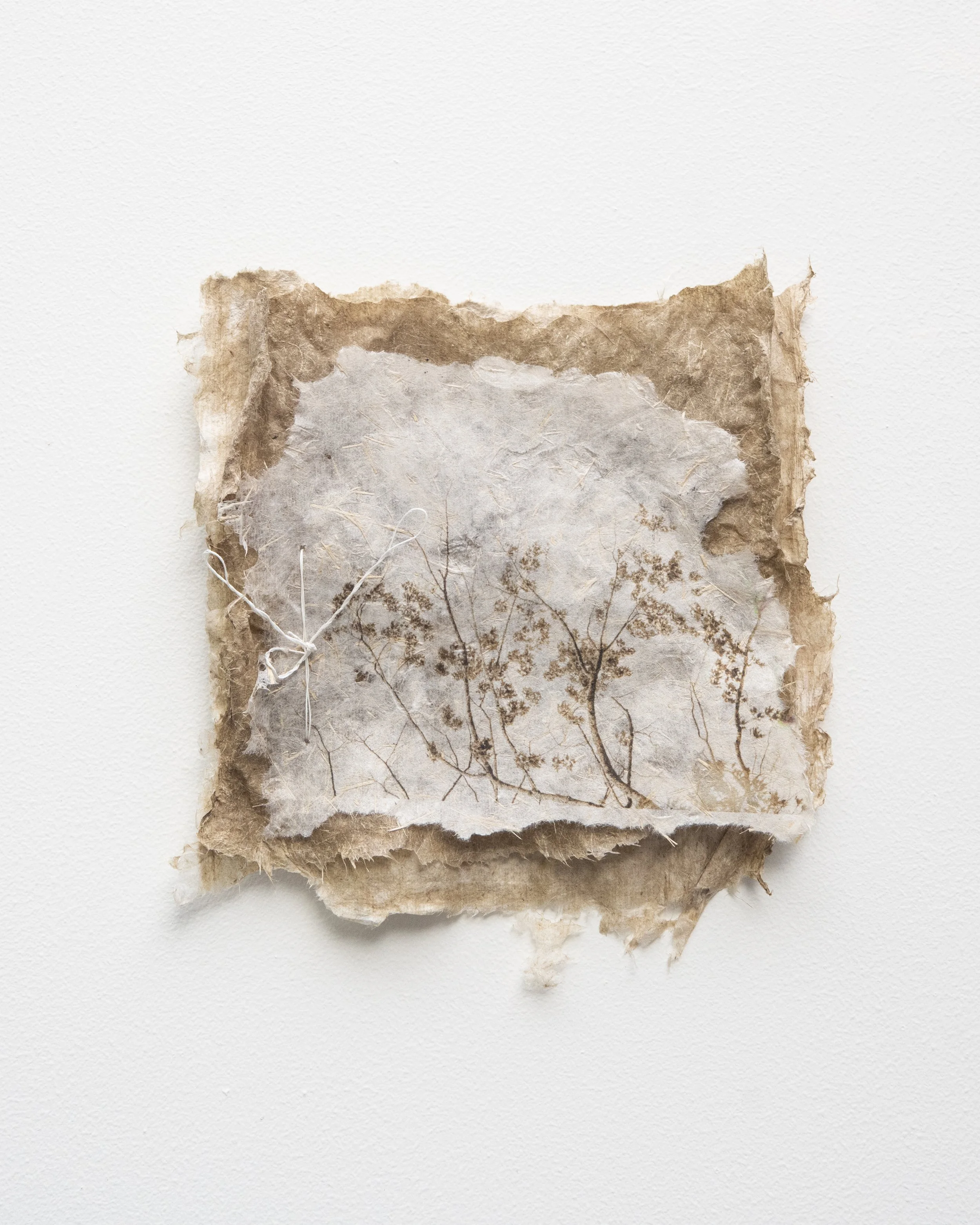 Friends of the Family.jpg