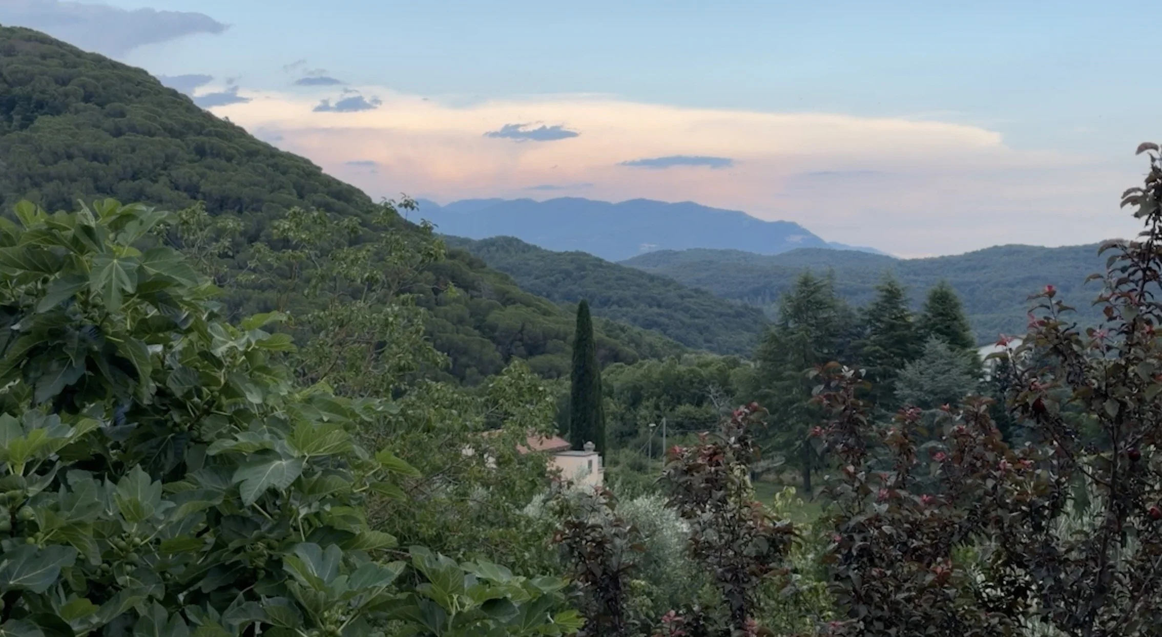 Artist Residency at the Museum of Loss and Renewal