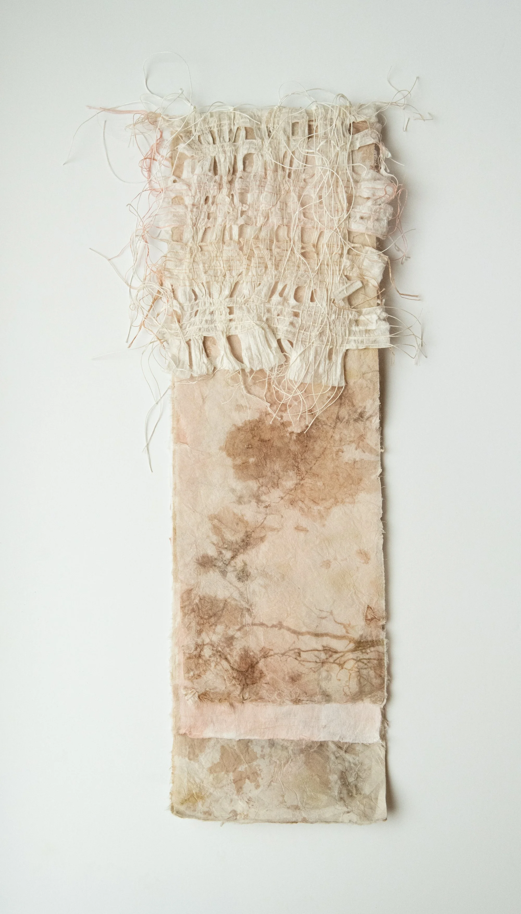 Bound by Attetion_1_Karen Olson.jpg