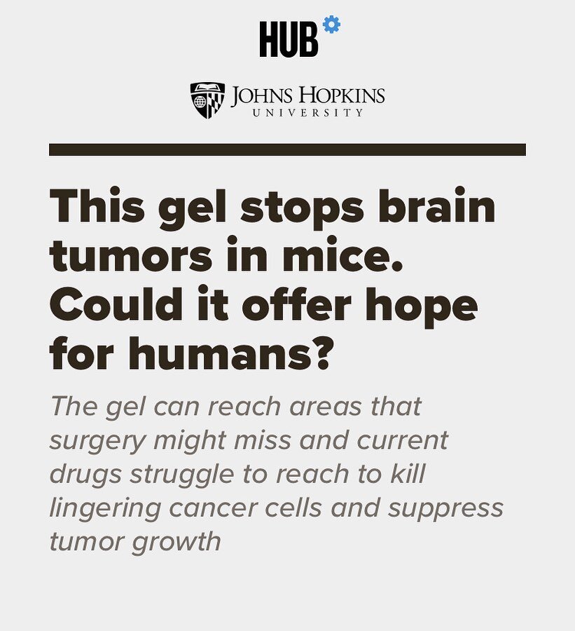 Incredible if it can be applied to humans!

&ldquo;Medication delivered by a novel gel cured 100% of mice with an aggressive brain cancer, a striking result that offers new hope for patients diagnosed with glioblastoma, one of the deadliest and most 