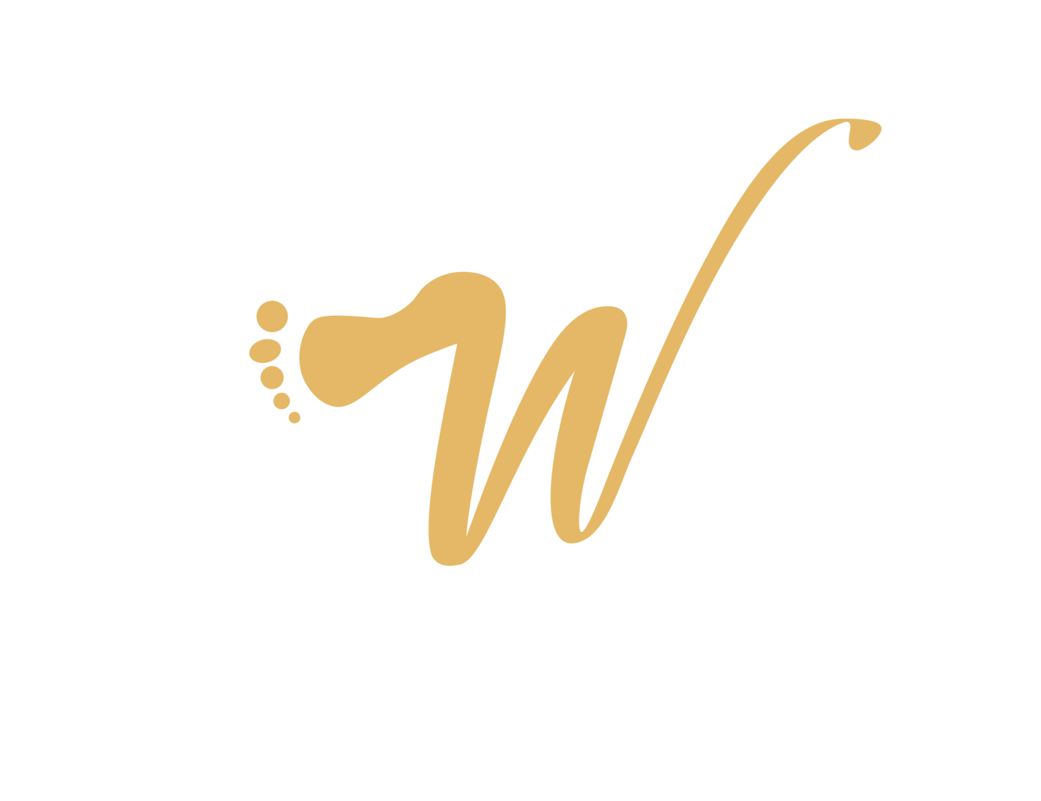 WELLNESS FOOT SPA