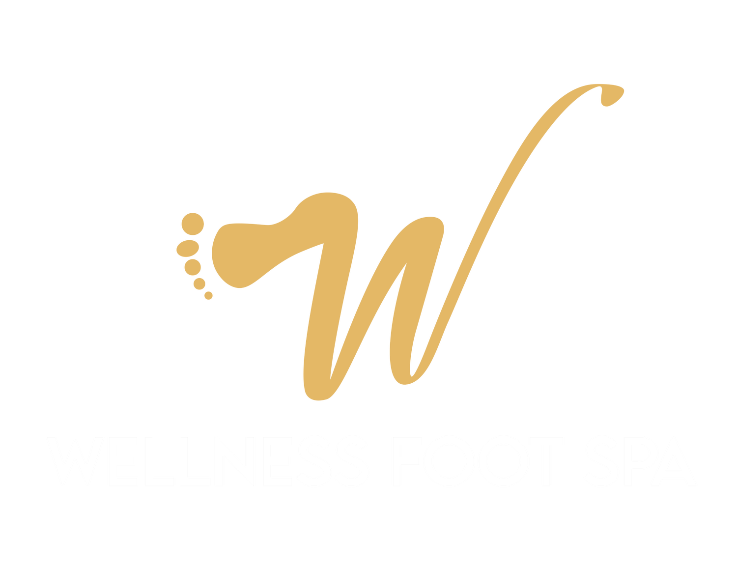 WELLNESS FOOT SPA