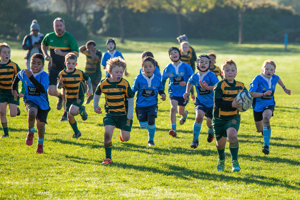 Canterbury Metro Rugby — Canterbury Rugby