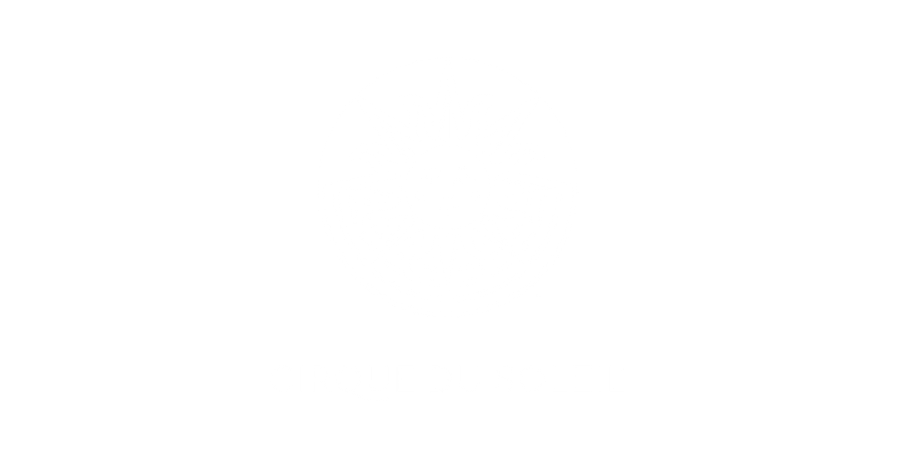 Cirque due Soleil logo