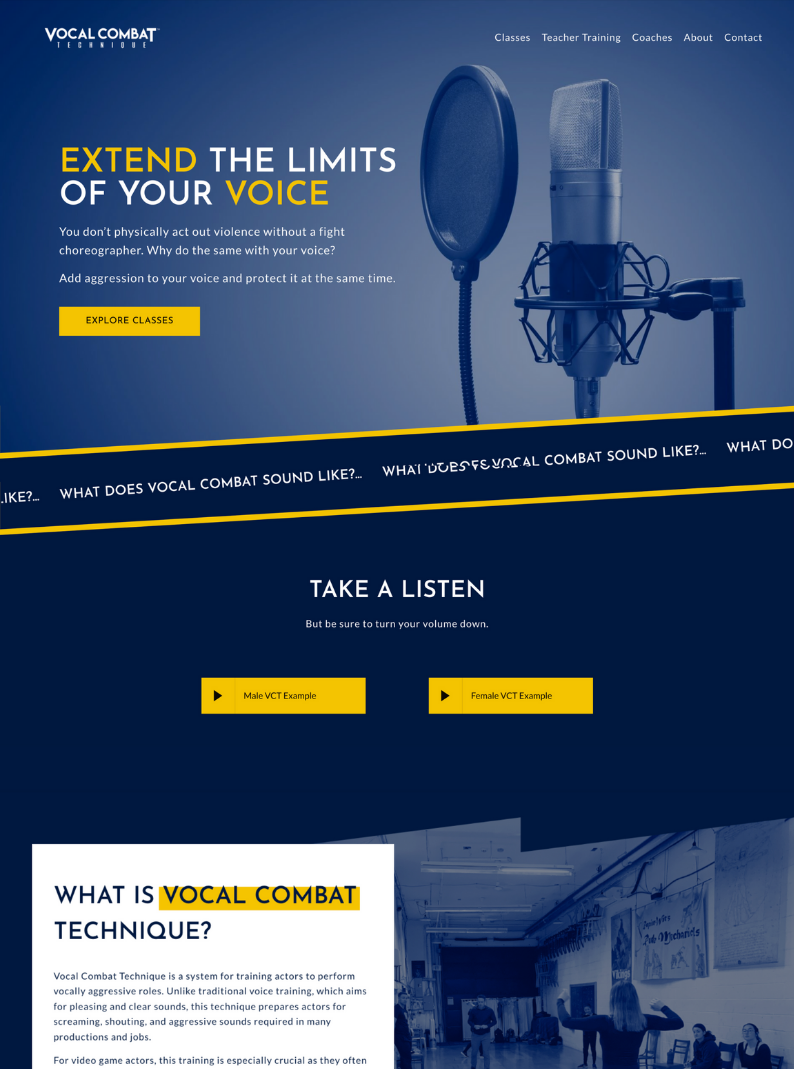 Screenshot of voice coach website