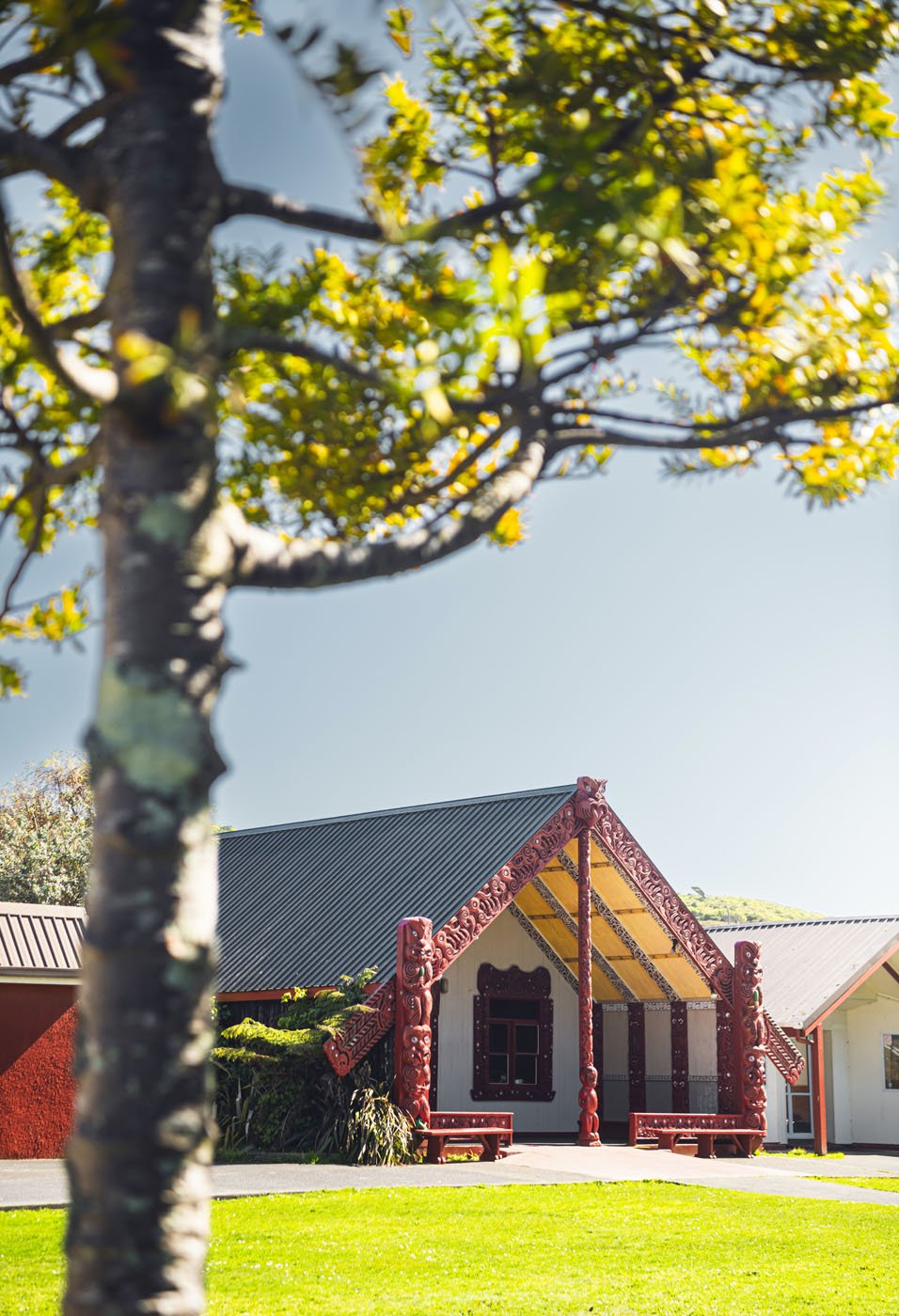 Te Rūnanga o Toa Rangatira Monthly Board Meeting