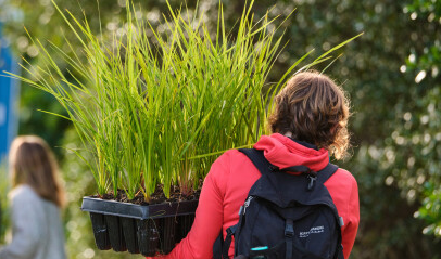 Edgewood Park Community Planting Day | Te Wai o te Taiao