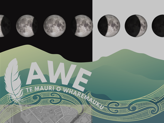 Teacher Professional Development Supported by Enviroschools | Te Wai o te Taiao