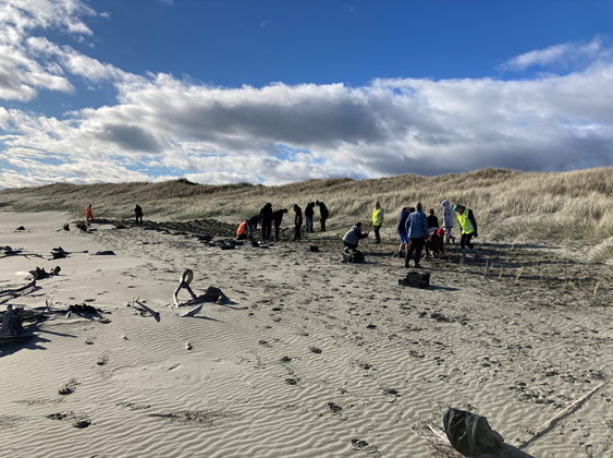Waitohu Stream Dune Planting Day | Te Wai o te Taiao