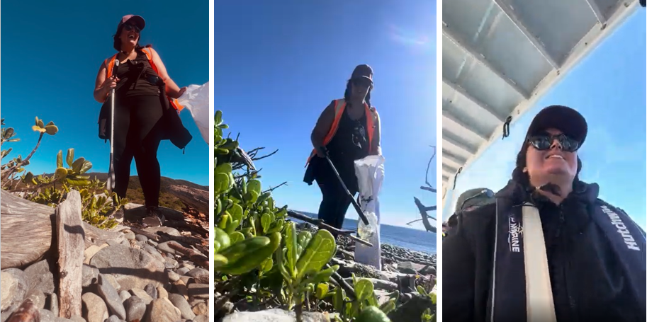 Reconnecting through kaitiakitanga on Kāpiti Island