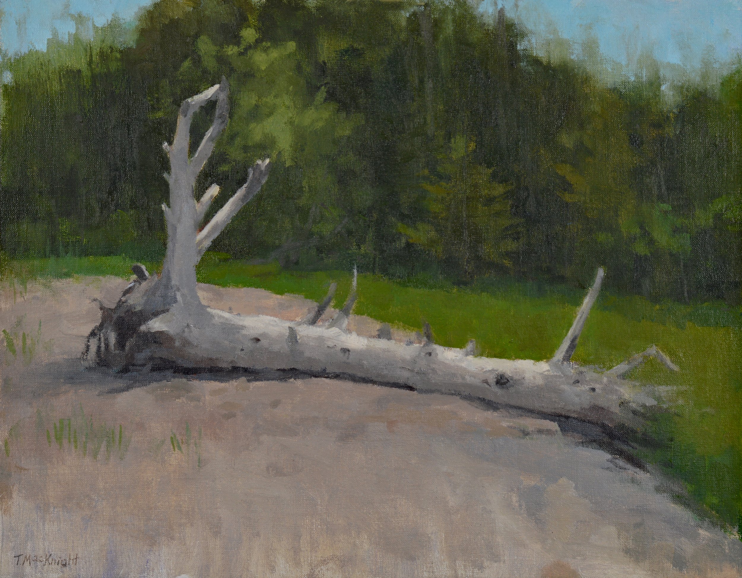 Driftwood Pagan Point