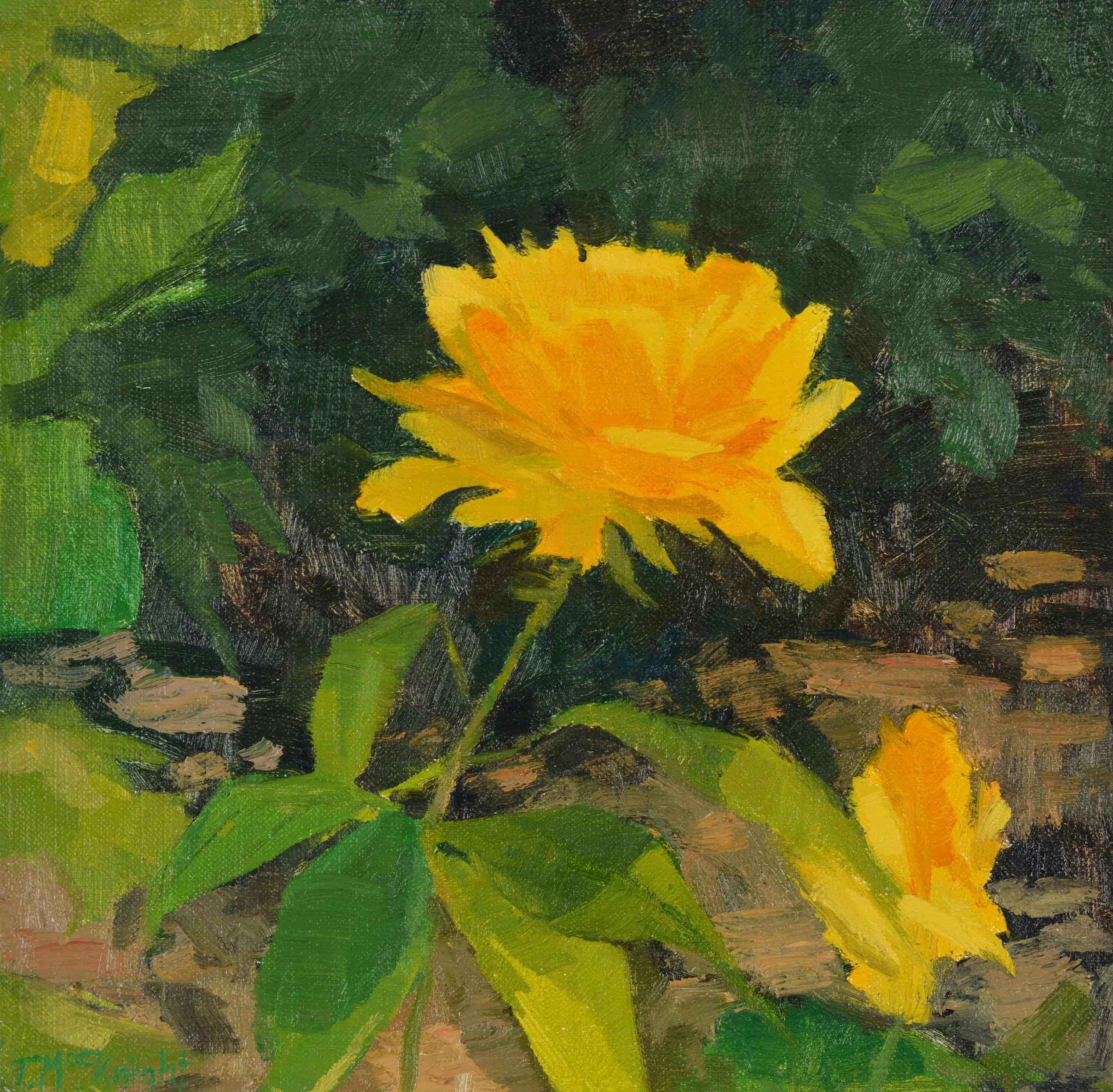 "Kingsbrae: Yellow Rose"