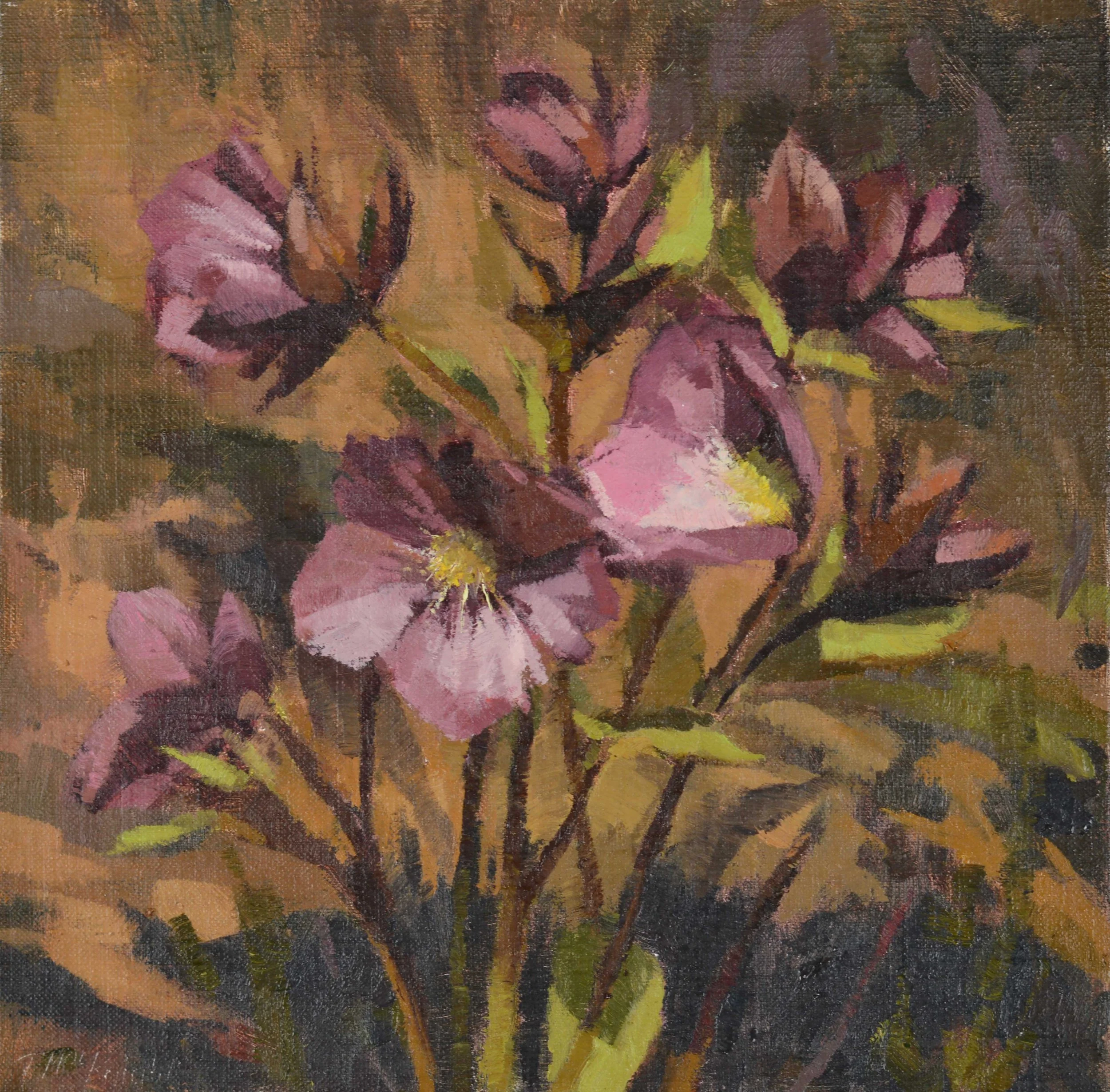 "Christmas Rose: Kingsbrae"