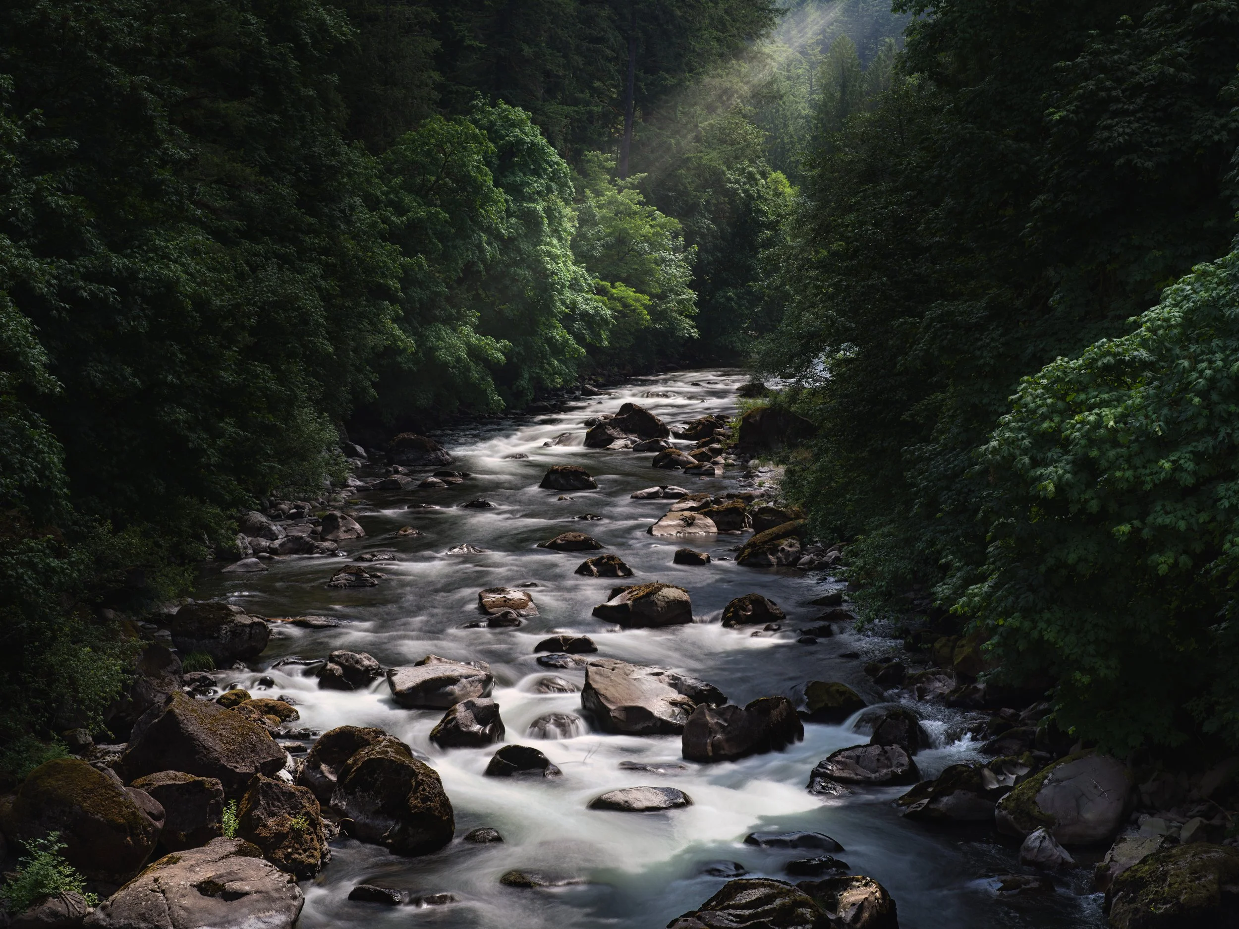 a sleepy creek in washington.jpg