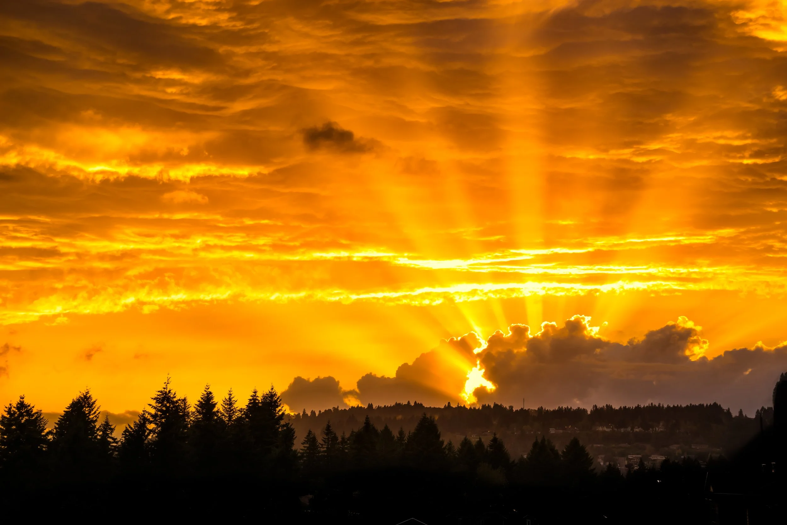 brilliance at sun's last light.jpg