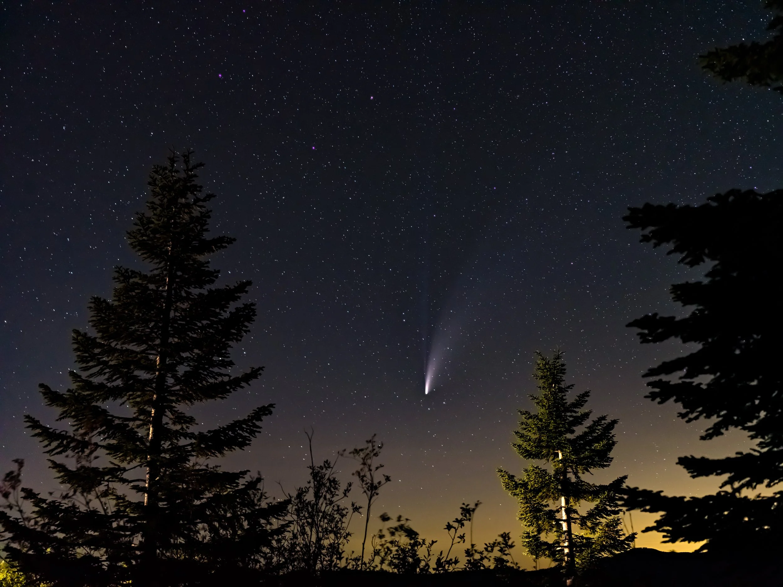 comet neowise.jpg