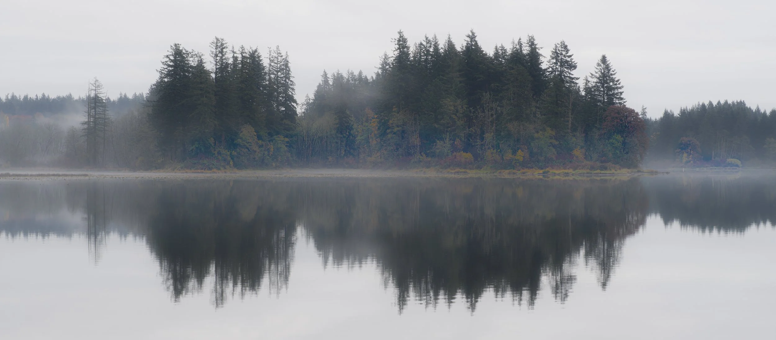 fog, reflections, lacamas lake.jpg