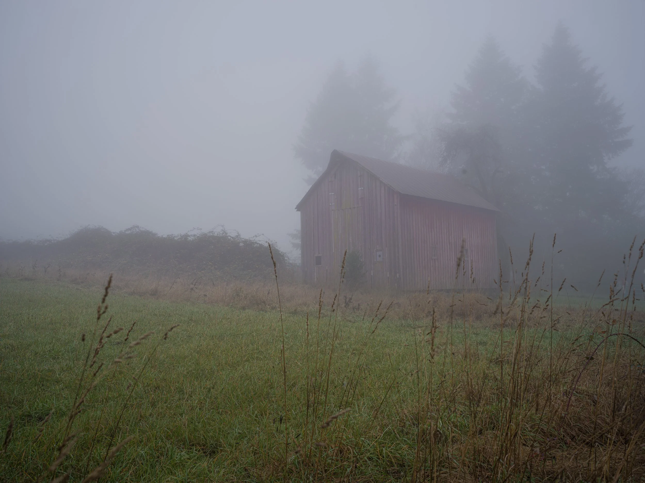 foggy barn.jpg