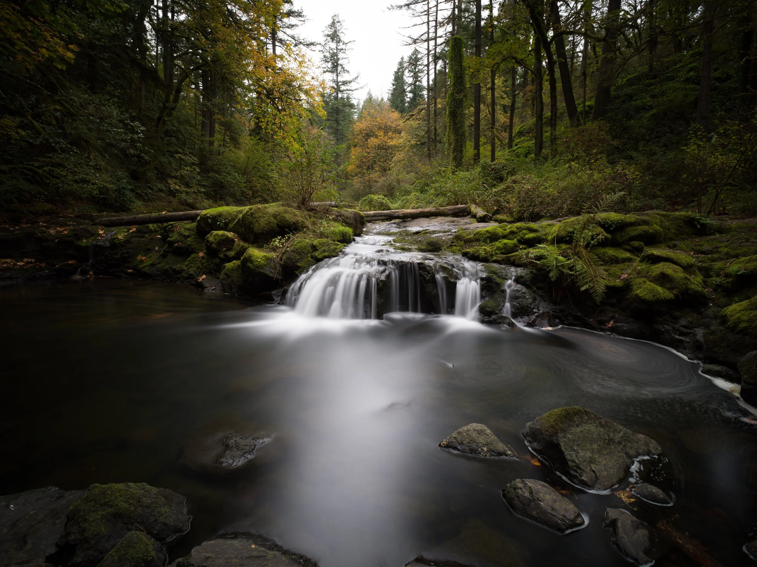 lacamas creek falls.jpg