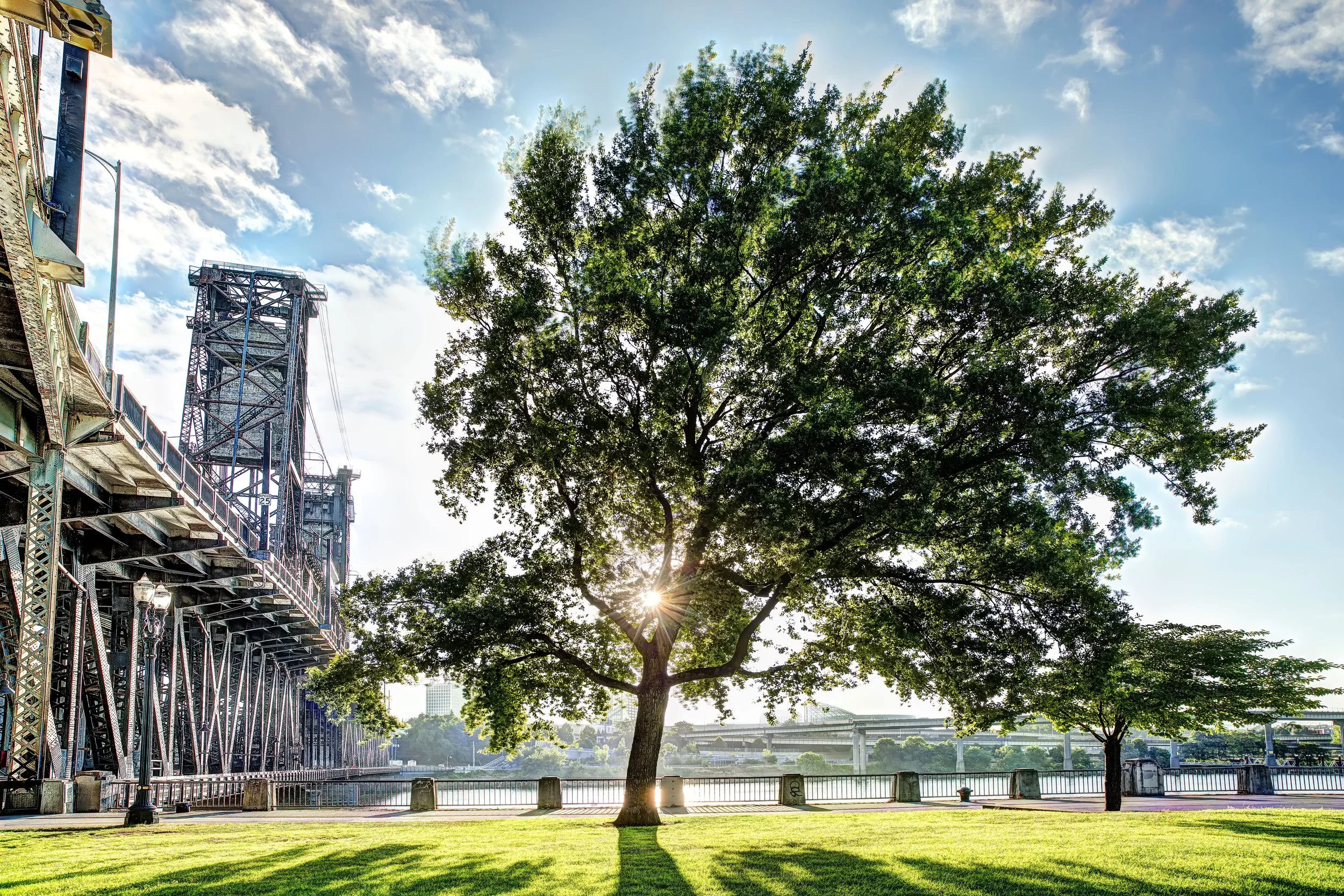 let the sun shine through.jpg