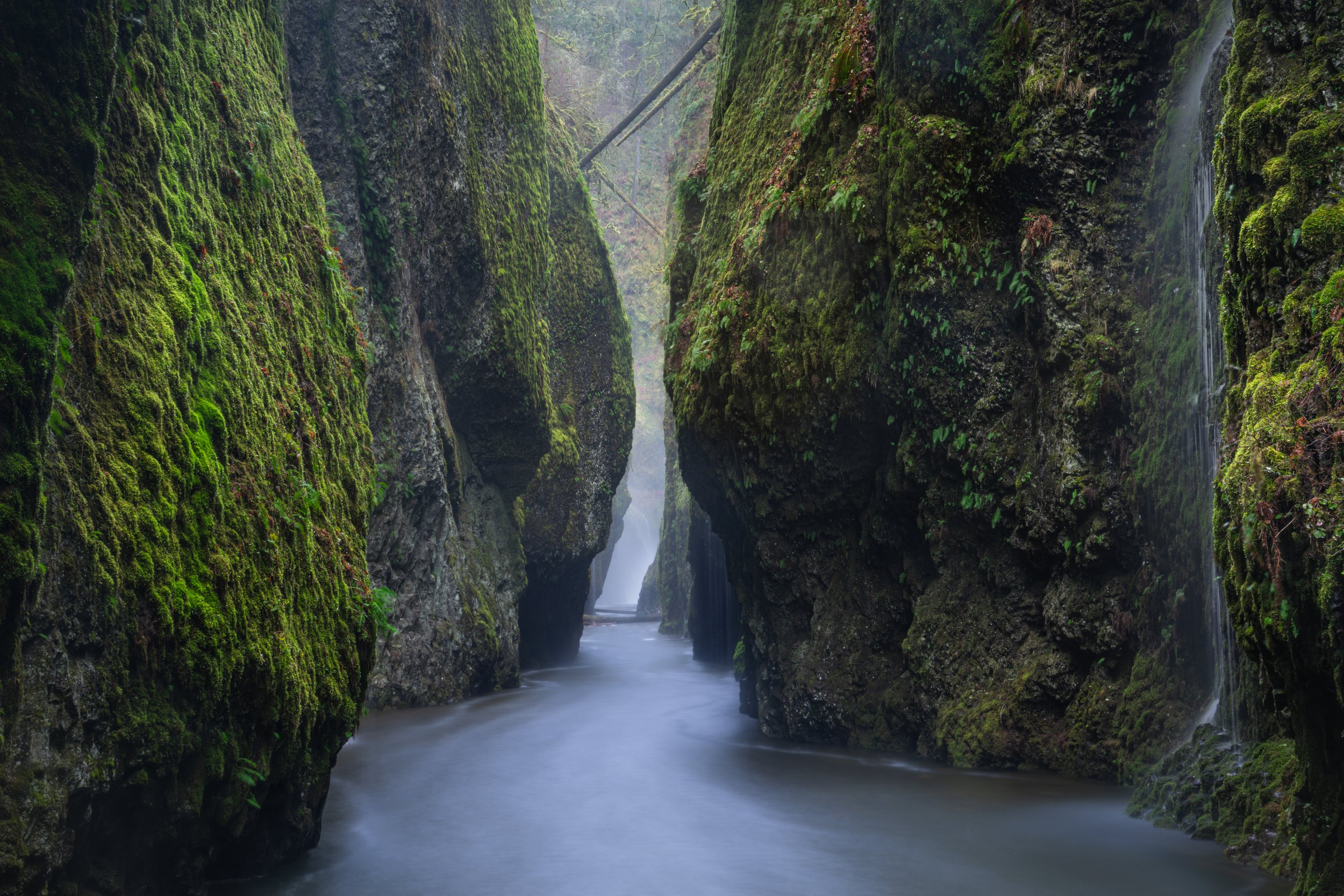 oneonta gorge.jpg