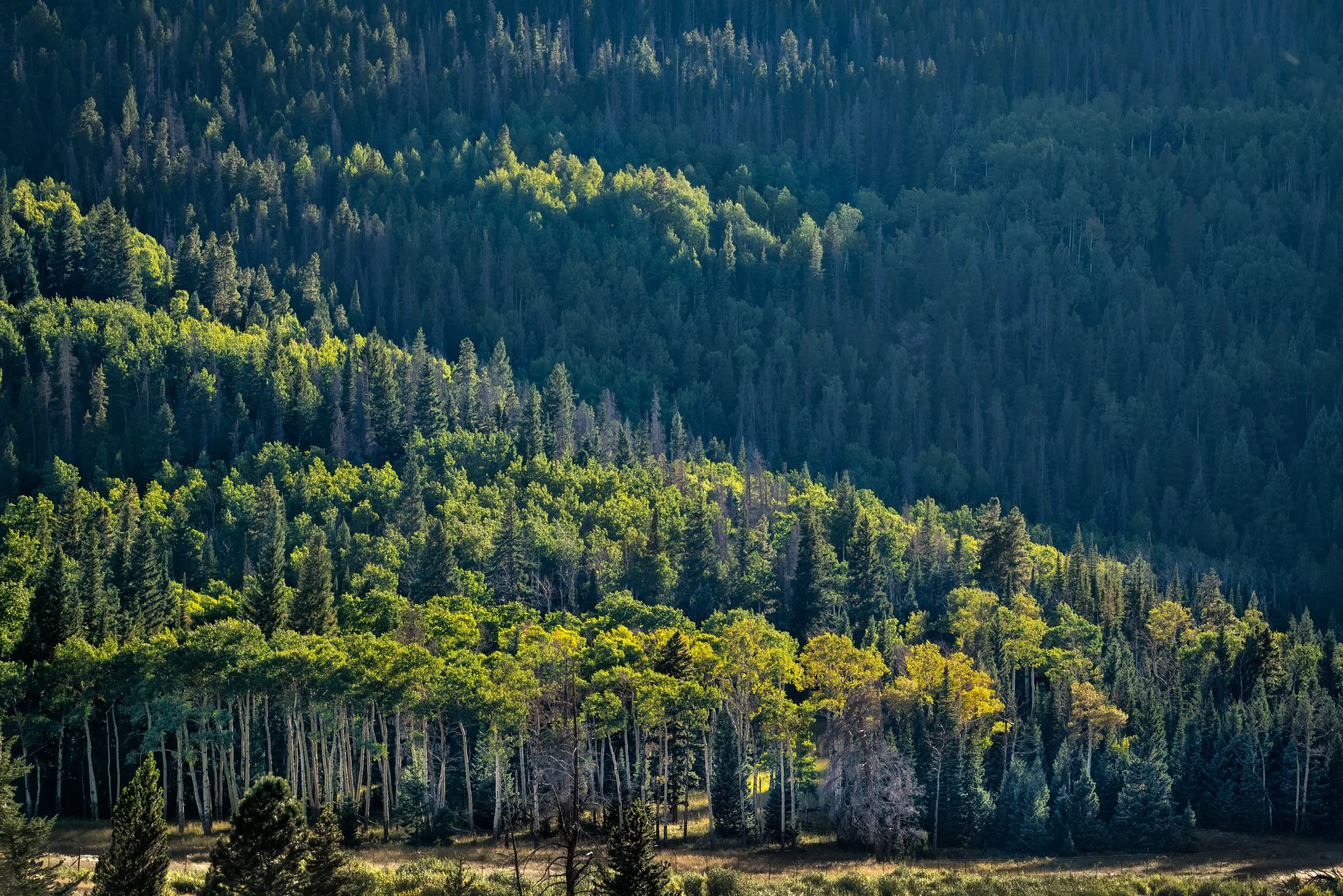 Rocky Mountain National Park.jpg